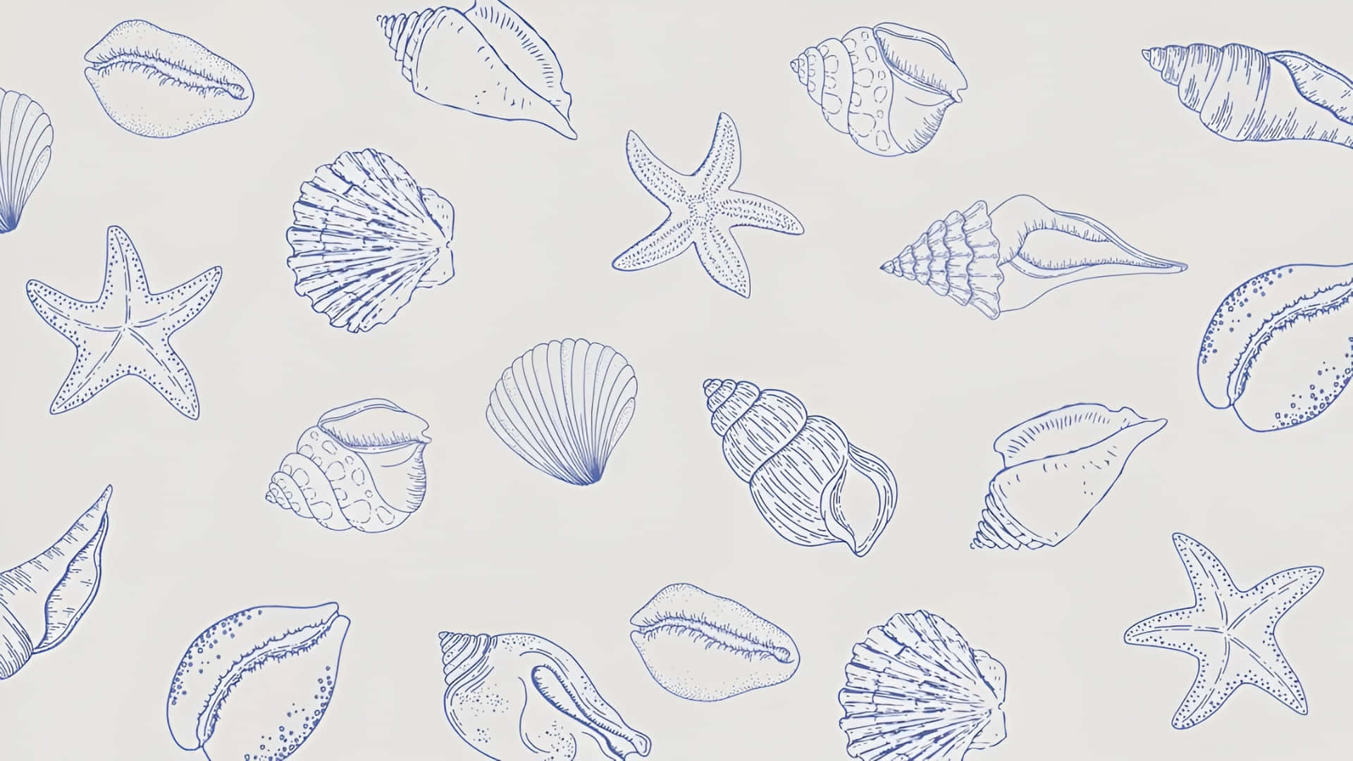 coastal, seashell, starfish, Full HD Desktop Wallpaper