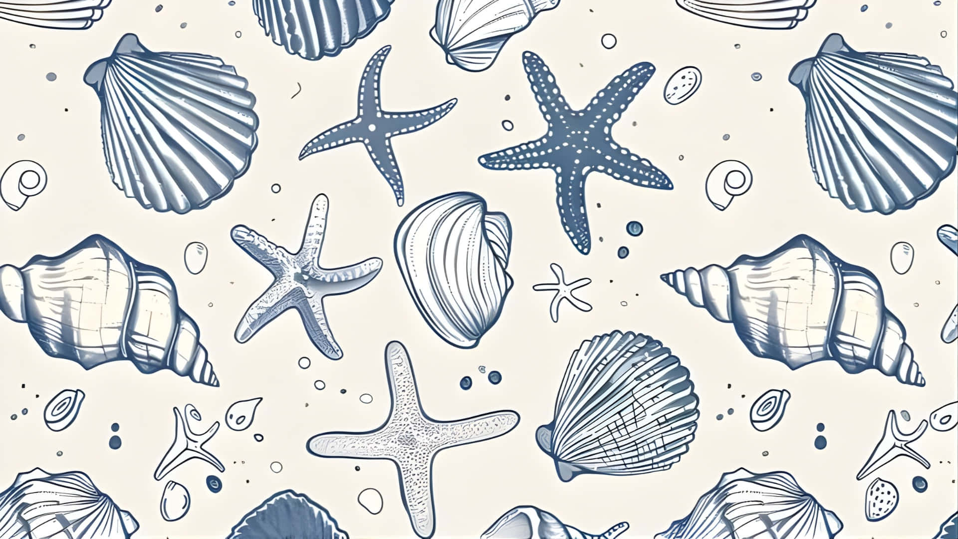 coastal, seashell, starfish, Full HD Desktop Wallpaper
