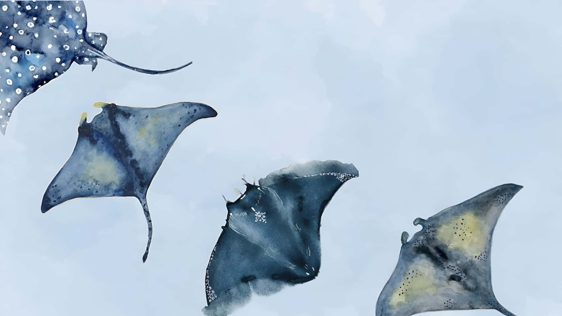 coastal, stingrays, watercolor illustration, Full HD Desktop Wallpaper