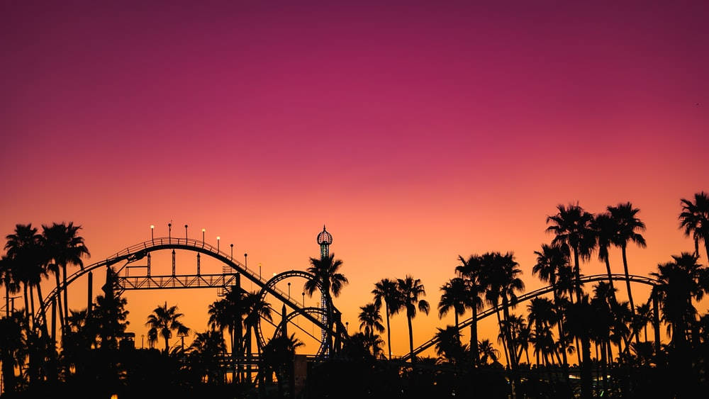 roller coaster, palm trees, vibrant pink and orange sunset sky, SD Desktop Wallpaper