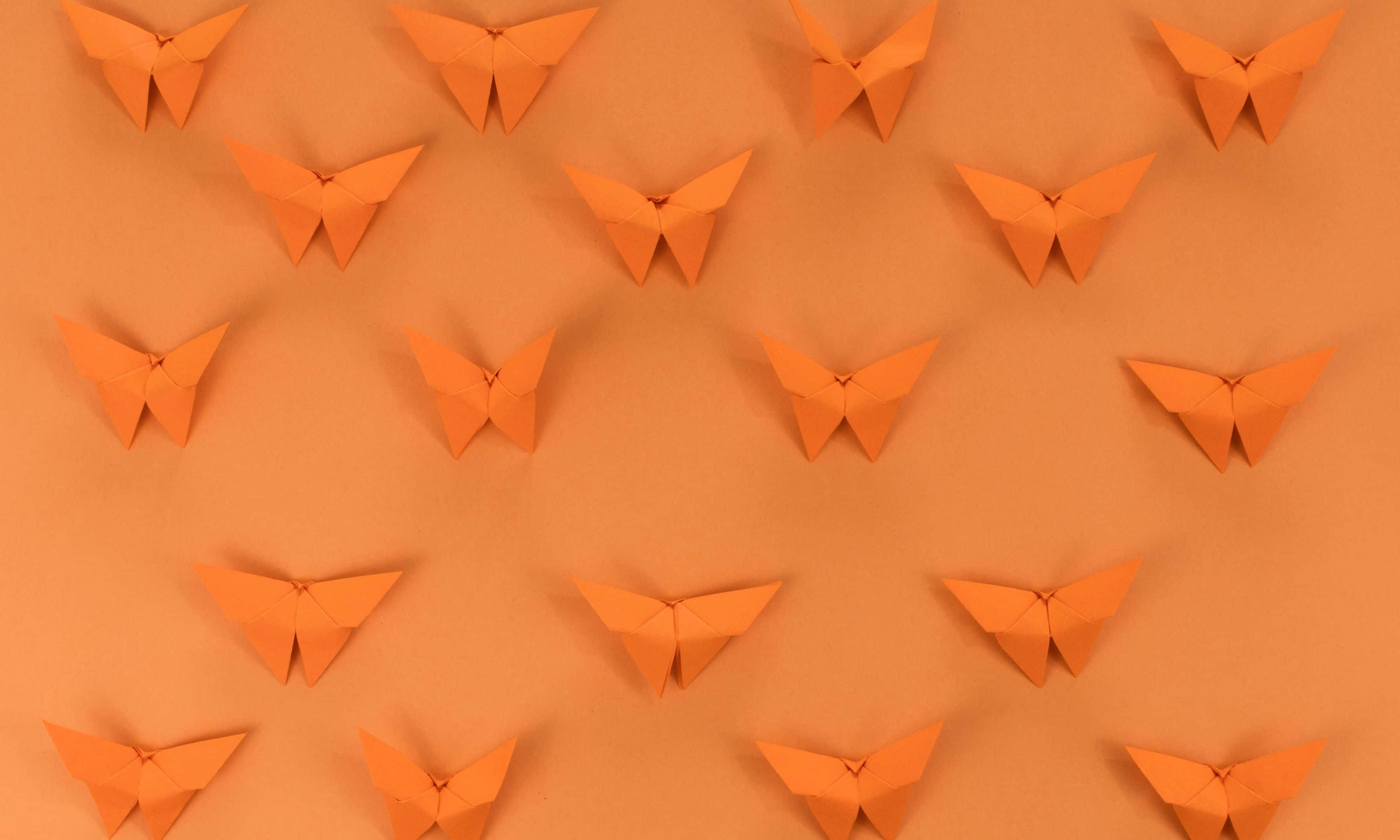 orange origami butterflies, solid orange background, aerial view, 2K Desktop Wallpaper