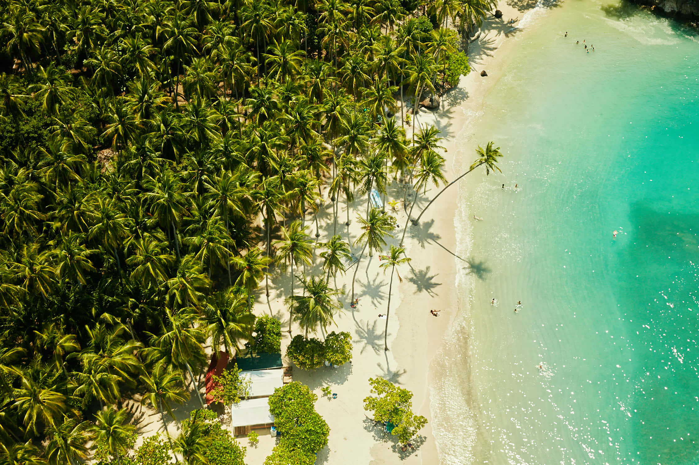 Coastline, tropical beach, turquoise water, Full HD Desktop Wallpaper