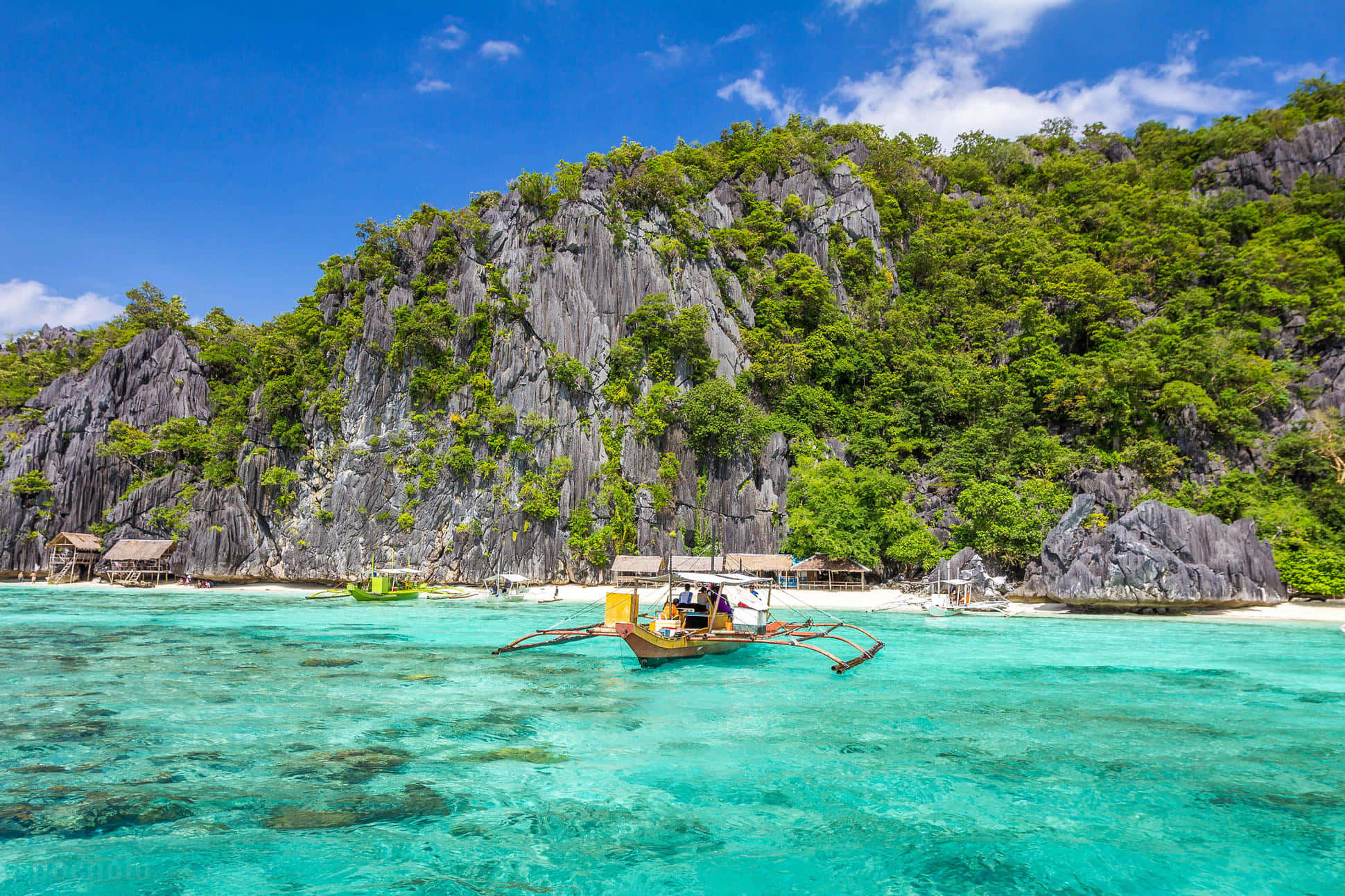Coastline, turquoise water, lush green cliffside beach, Full HD Desktop Wallpaper