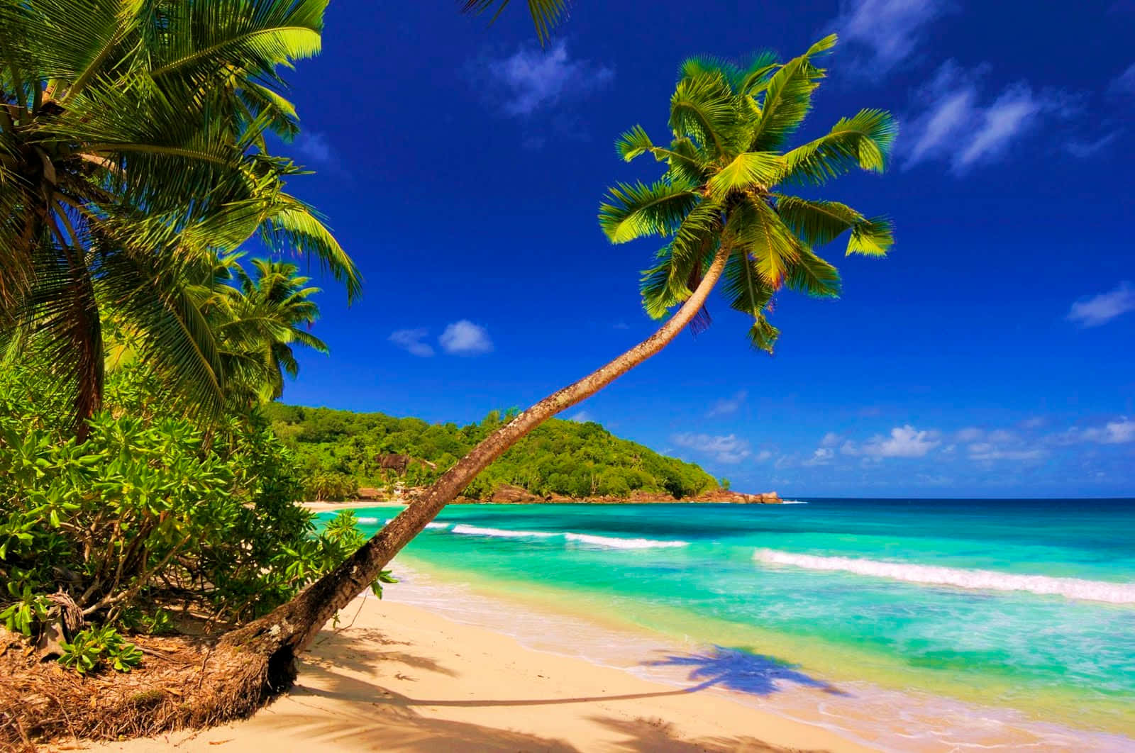 Coastline, tropical beach, turquoise waters, HD Desktop Wallpaper