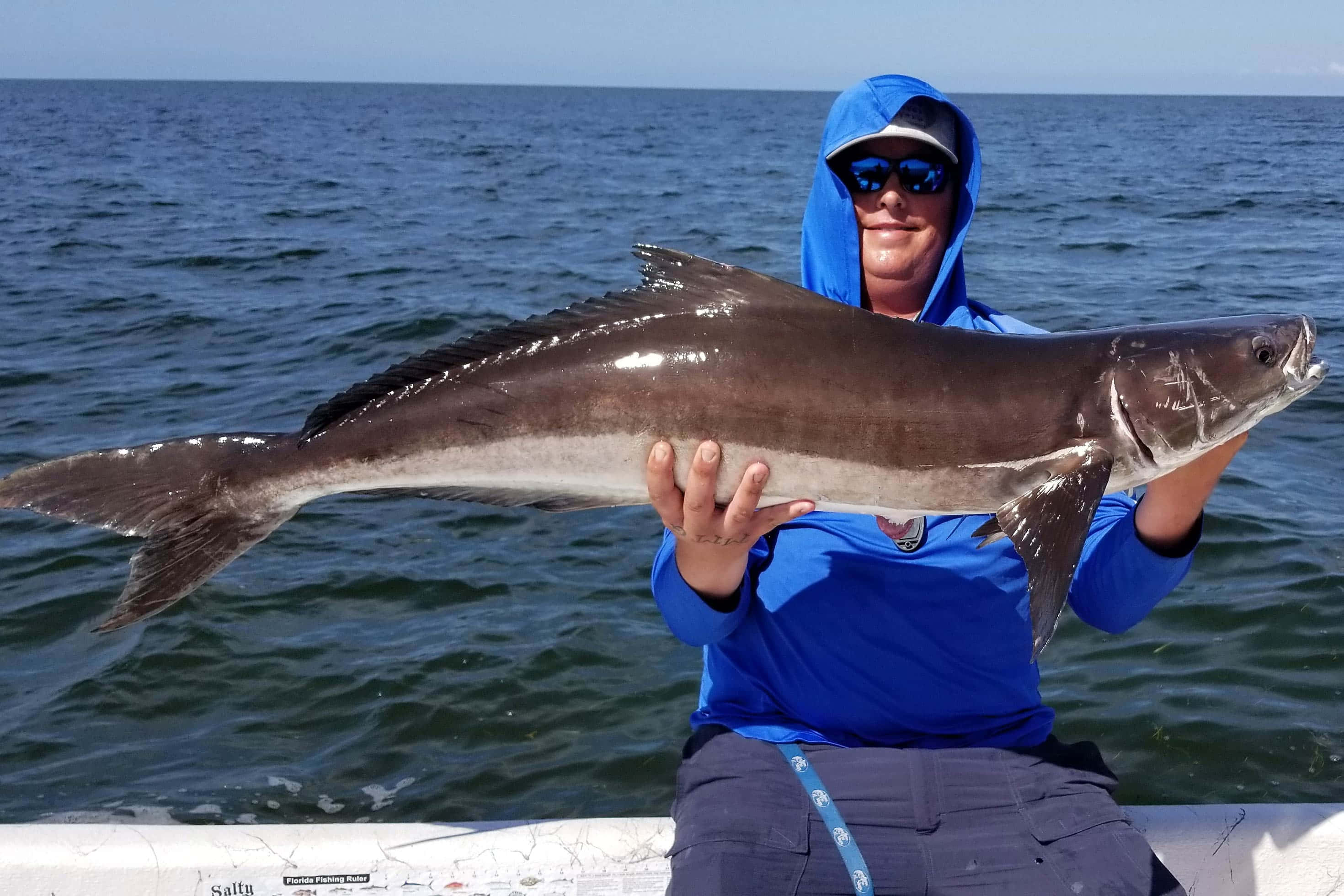 angler, caught cobia, blue hoodie, 2K Desktop Wallpaper