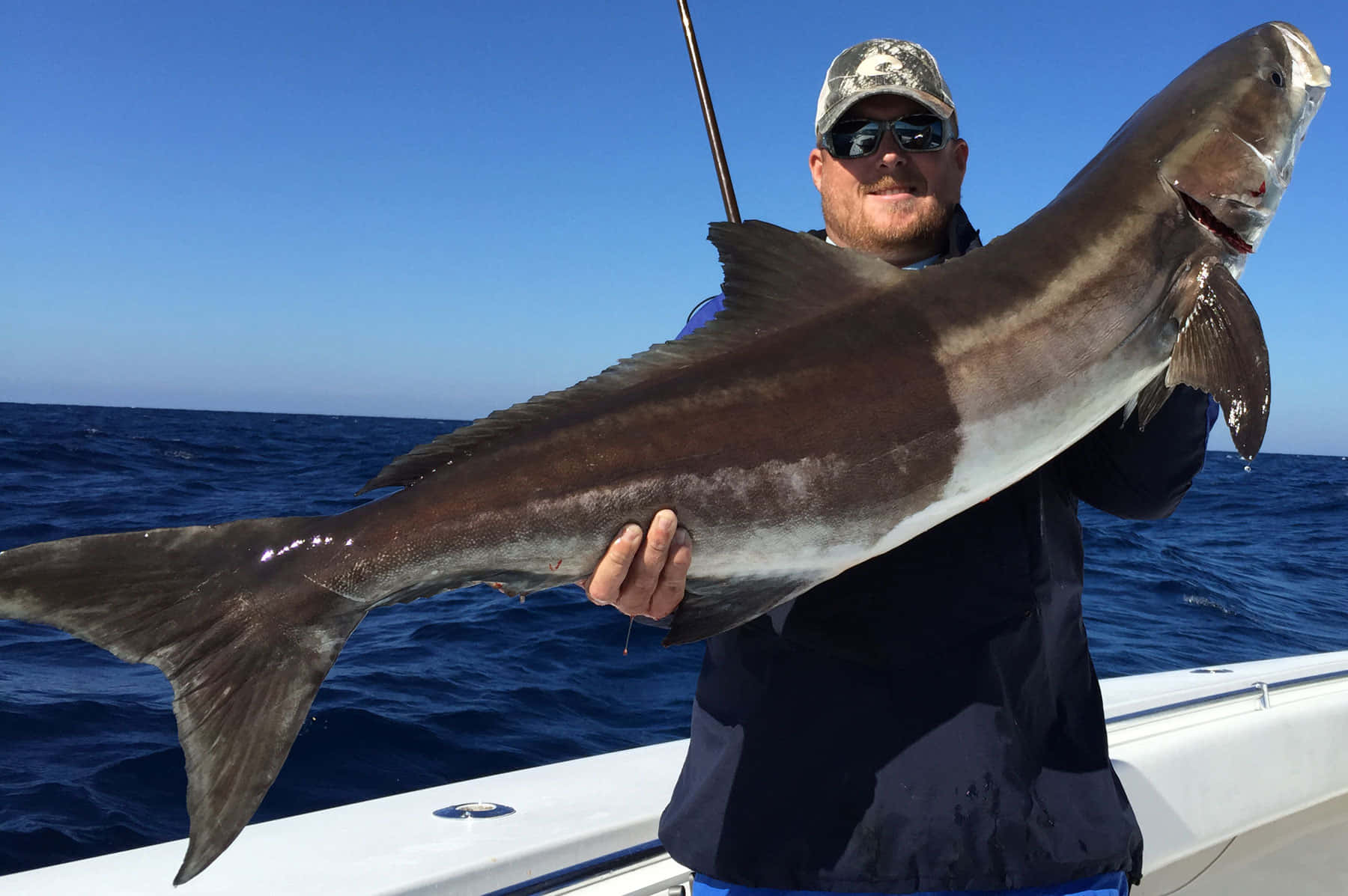 angler, caught cobia, boat, HD Desktop Wallpaper
