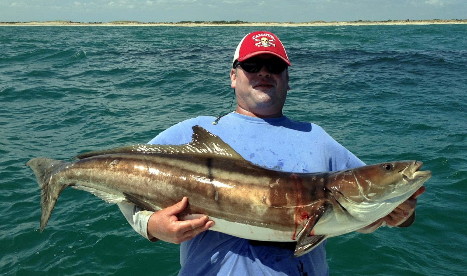 angler, caught cobia, red cap, HD Desktop Wallpaper
