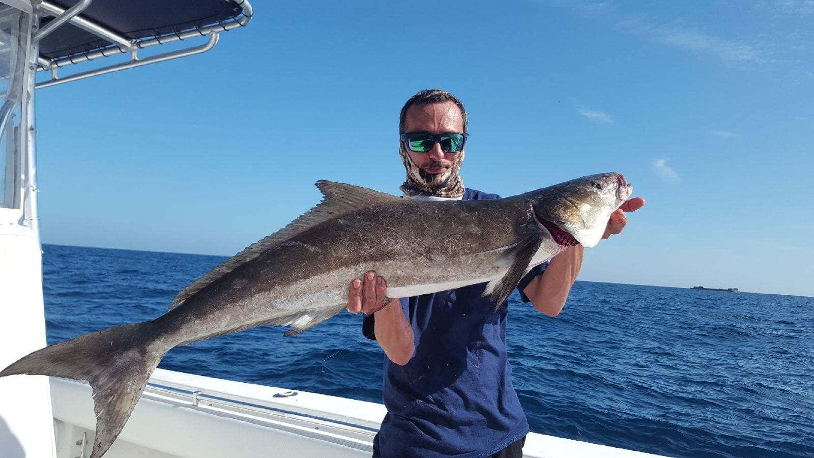 angler, caught cobia, boat, HD Desktop Wallpaper