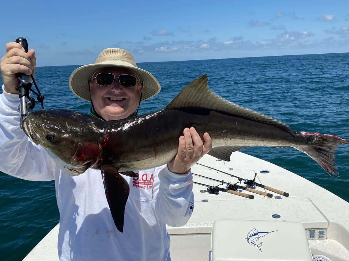 Cobia, boat, dark fish, SD Desktop Wallpaper