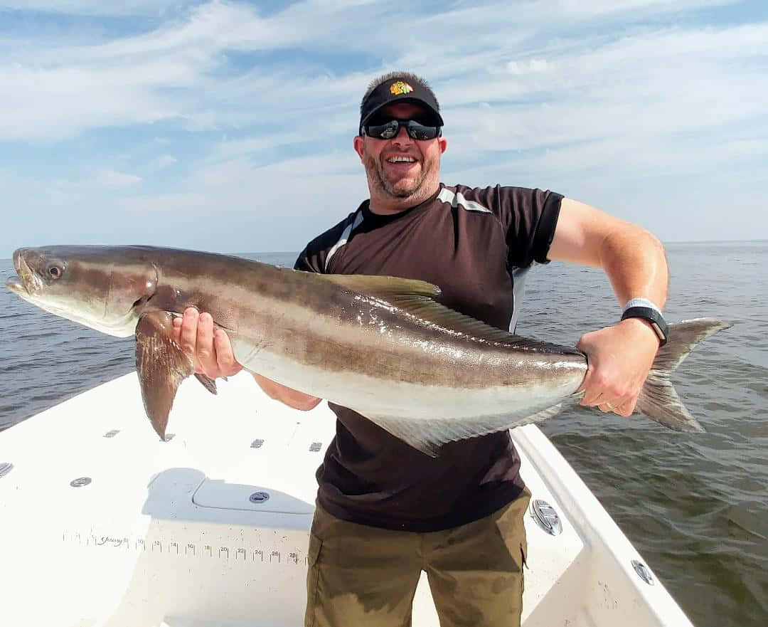 angler, caught cobia, silver fish, SD Desktop Wallpaper