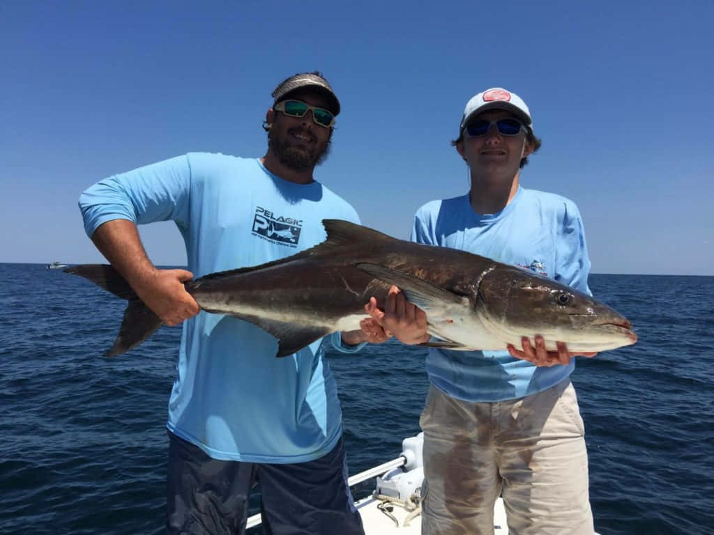 Cobia, fishermen, boat, SD Desktop Wallpaper