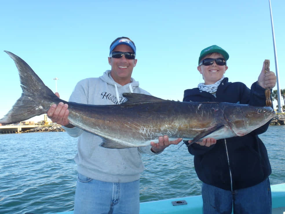 Cobia, silver fish, boat, SD Desktop Wallpaper