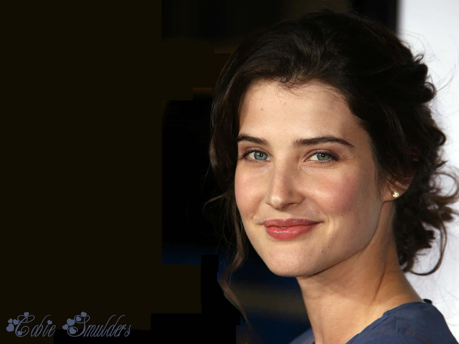 Cobie Smulders, dark wavy hair, blue eyes, HD Desktop Wallpaper