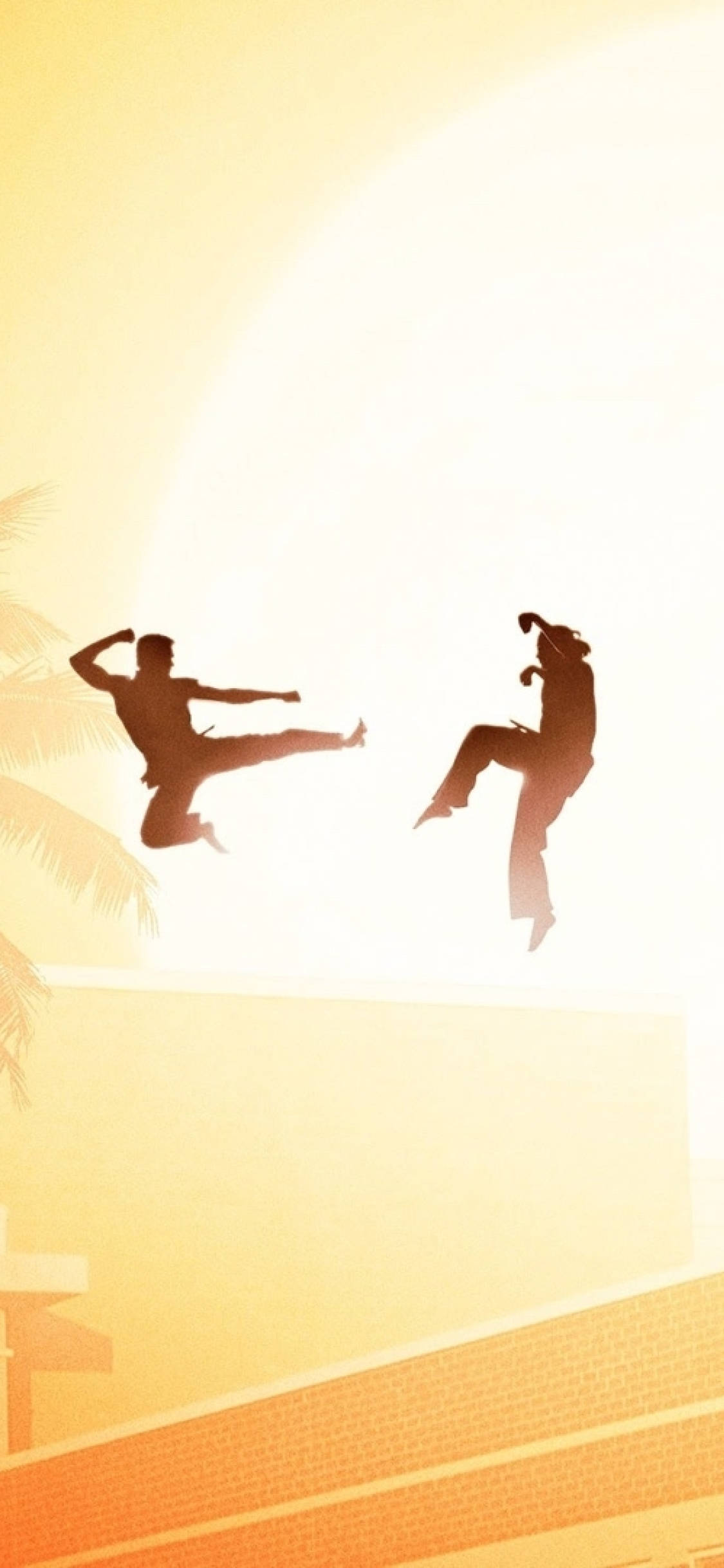 Cobra Kai Phone, Cobra Kai, glowing sunset sky, Full HD Phone Wallpaper