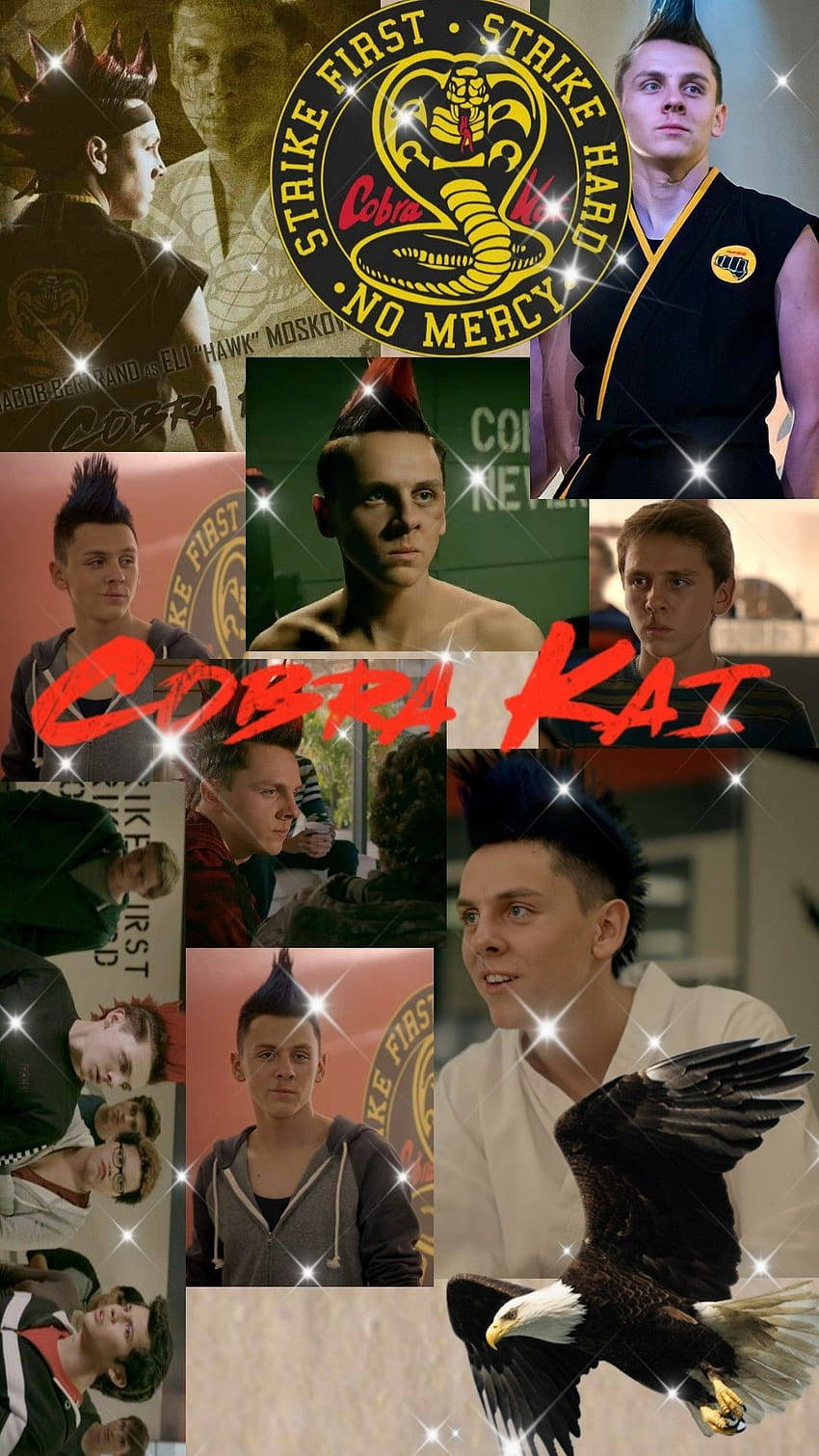 Cobra Kai Phone, Cobra Kai, Cobra Kai logo, HD Phone Wallpaper