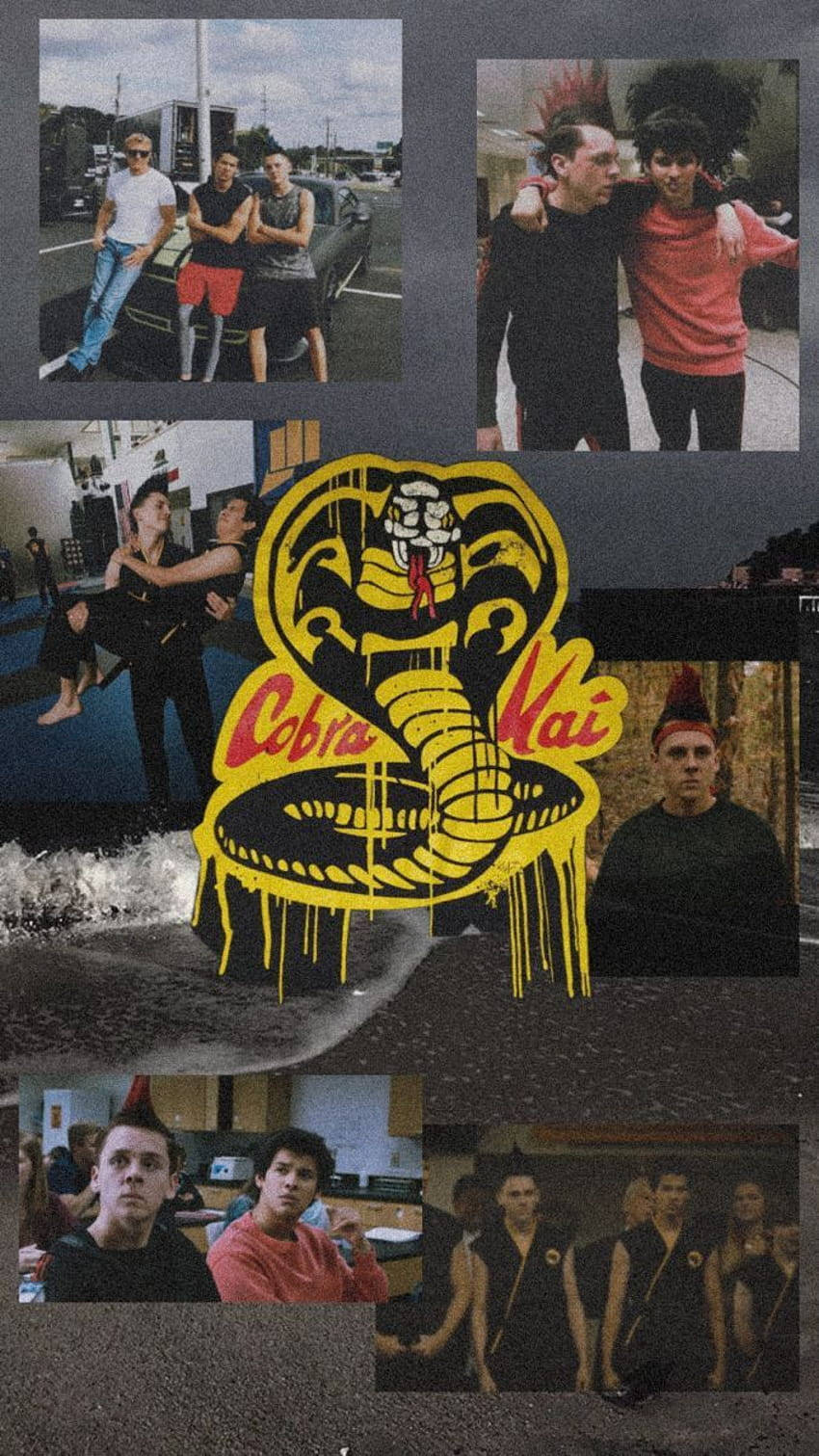 Cobra Kai Phone, Cobra Kai logo, mohawked teens, HD Phone Wallpaper