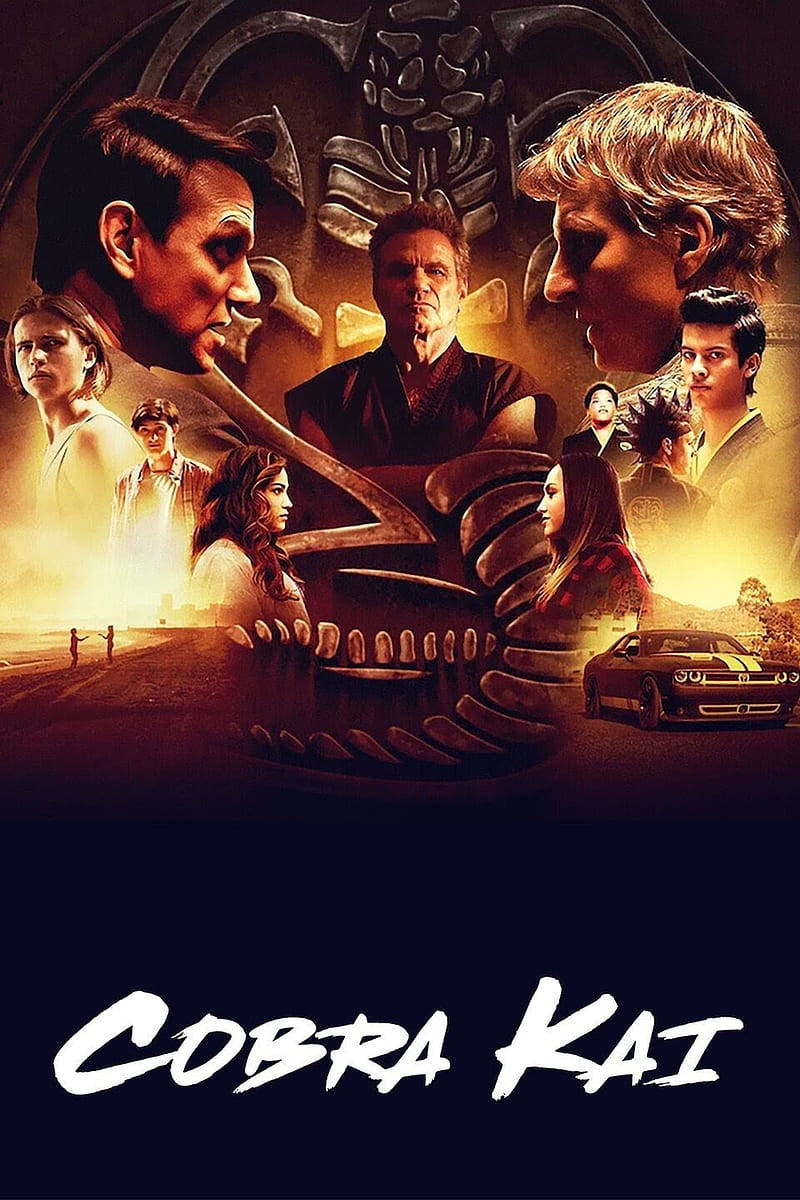 Cobra Kai, martial artists, menacing skull, SD Phone Wallpaper