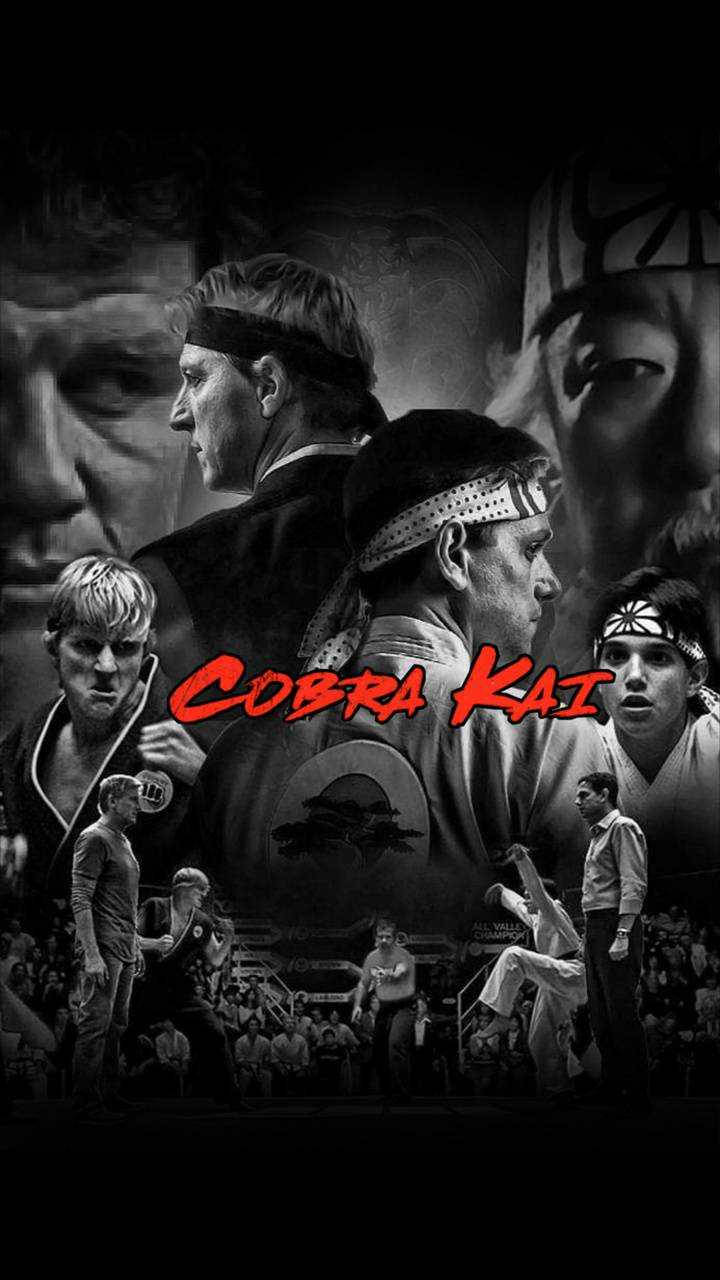 Cobra Kai Phone, Cobra Kai, martial artists, HD Phone Wallpaper