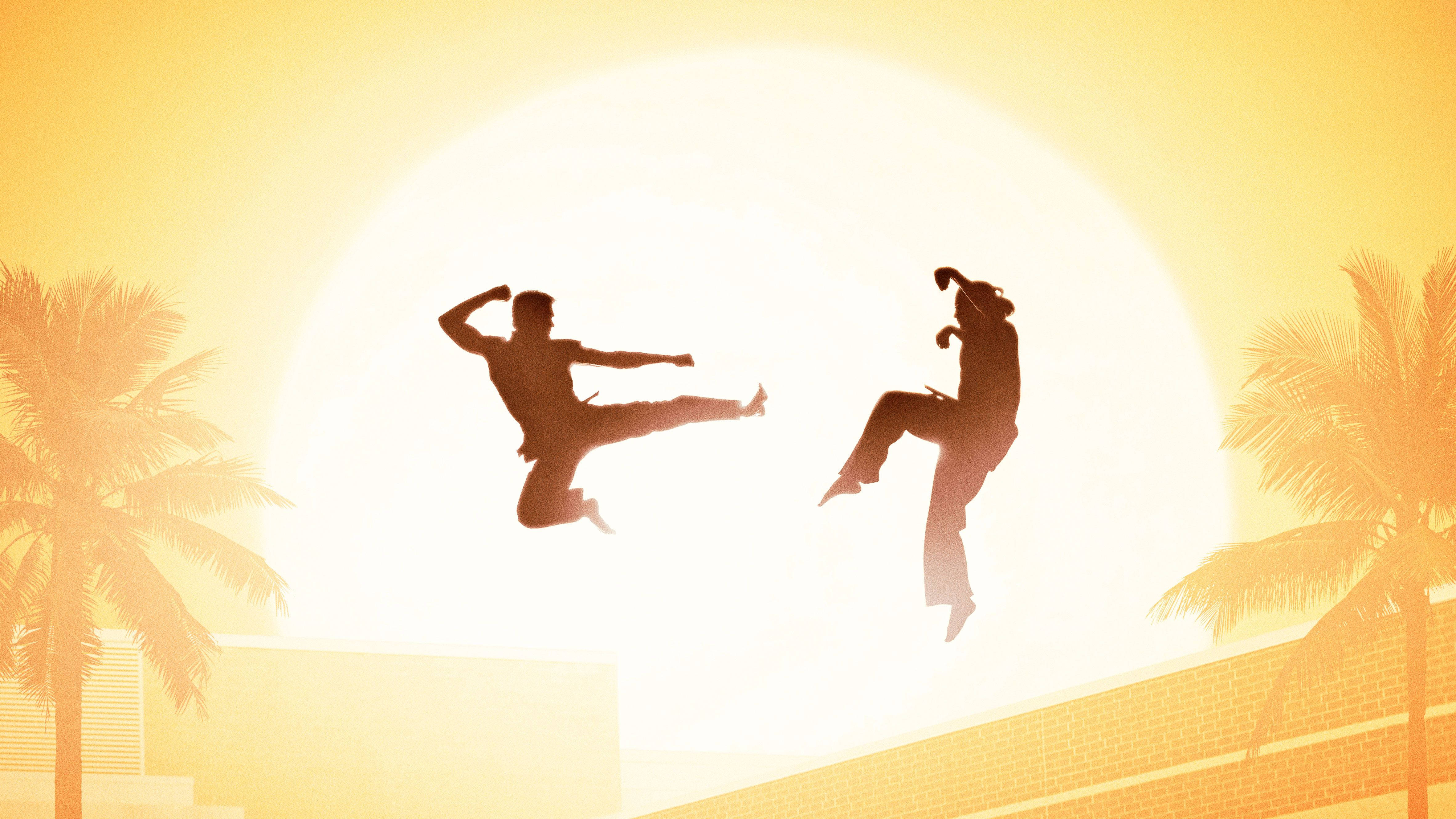 Cobra Kai, sun, palm trees, 4K Desktop Wallpaper