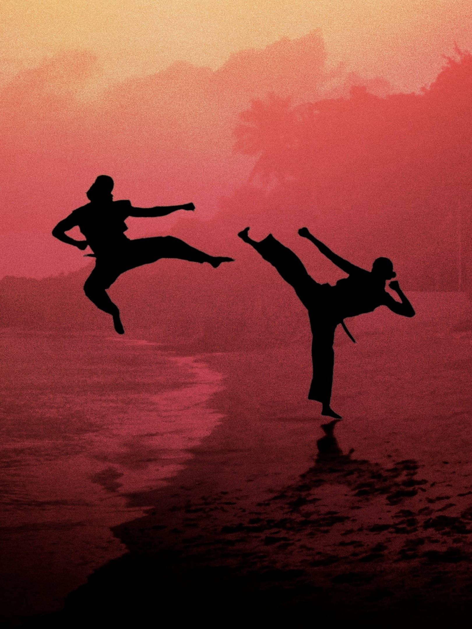 Cobra Kai, Karate Stance, fiery red sunset, Full HD Phone Wallpaper