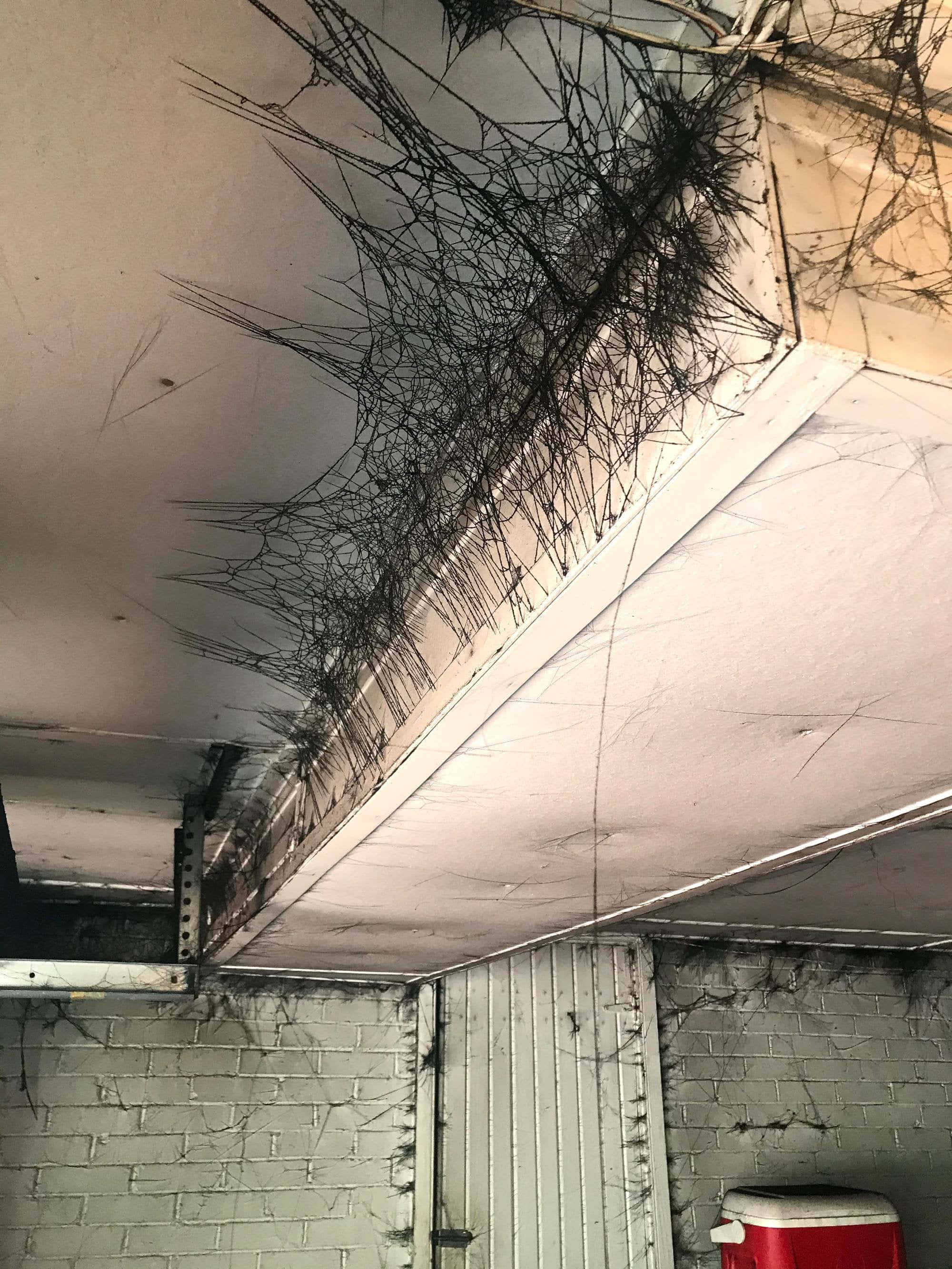 Cobwebs, garage, ceiling corner, 2K Phone Wallpaper