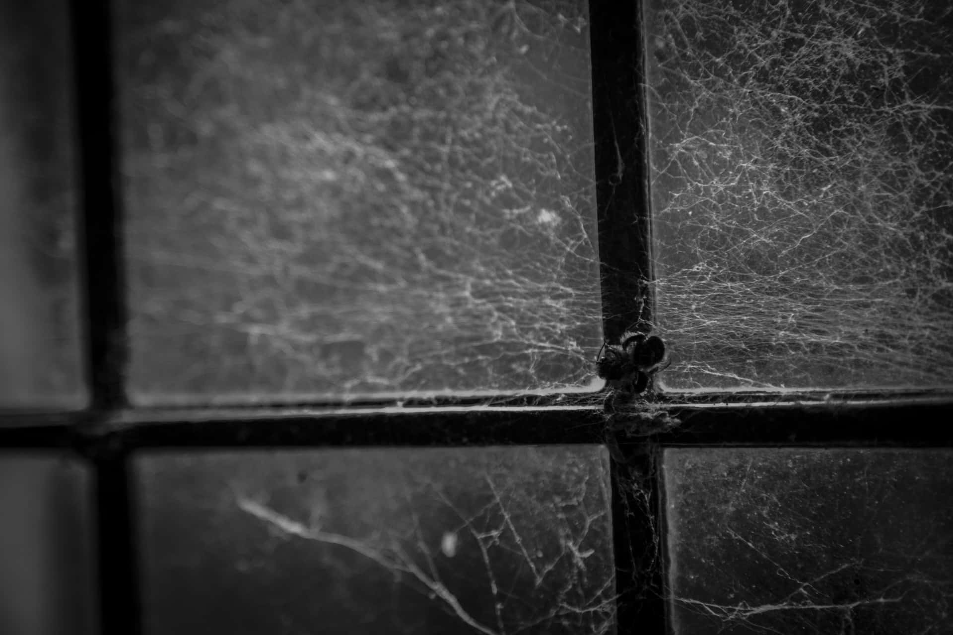 cobwebs, dark paneled window, monochrome, Full HD Desktop Wallpaper