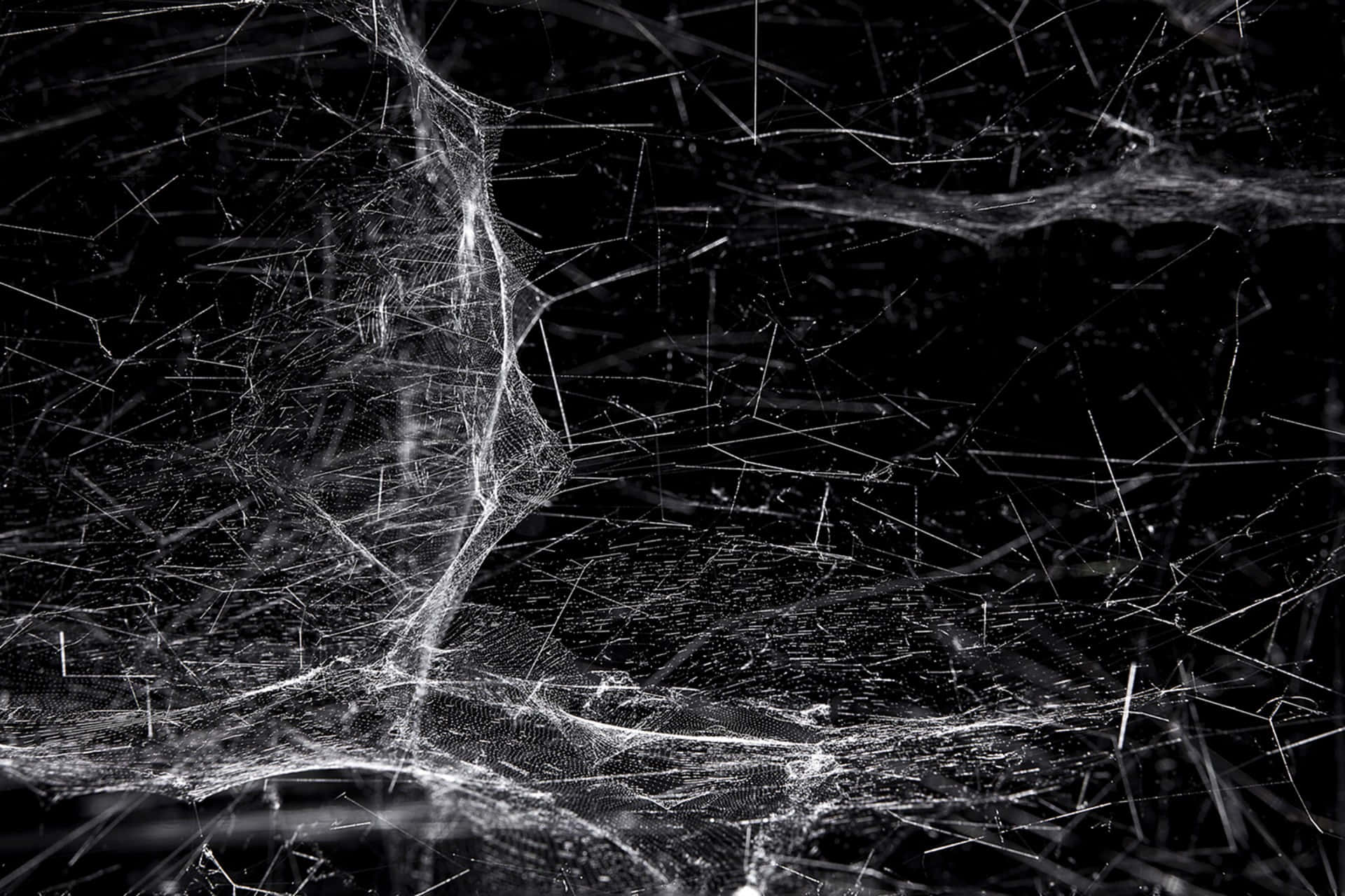 Cobwebs, 1920 x 1280, dew, Full HD Desktop Wallpaper
