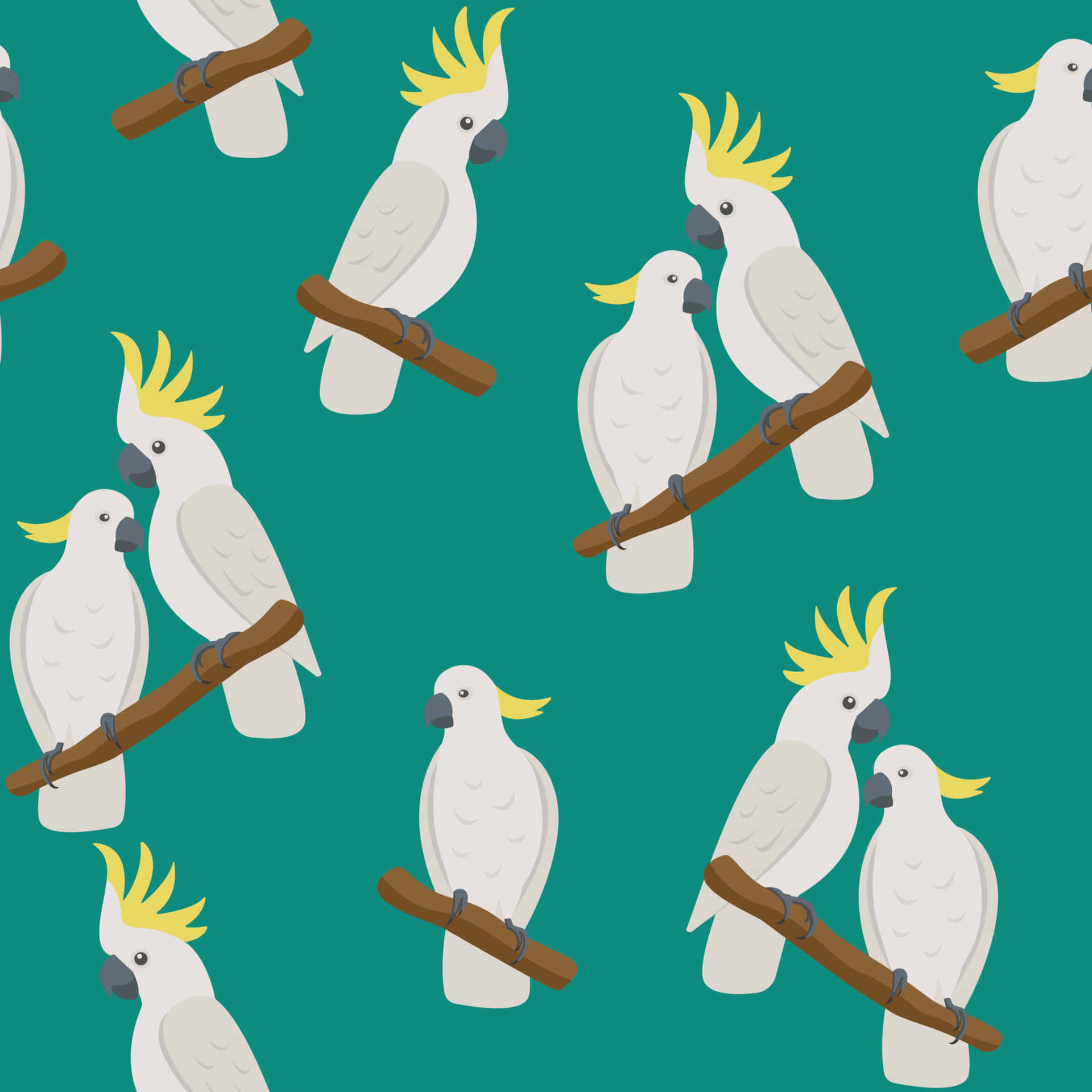 Cockatoo, white cockatoos, yellow crests, Full HD Desktop Wallpaper
