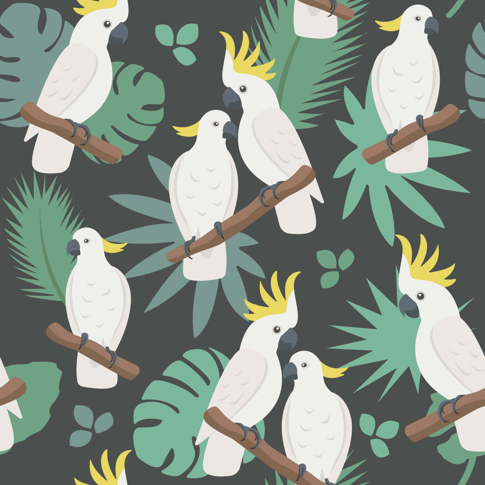 Cockatoo, yellow crests, brown branches, Full HD Desktop Wallpaper