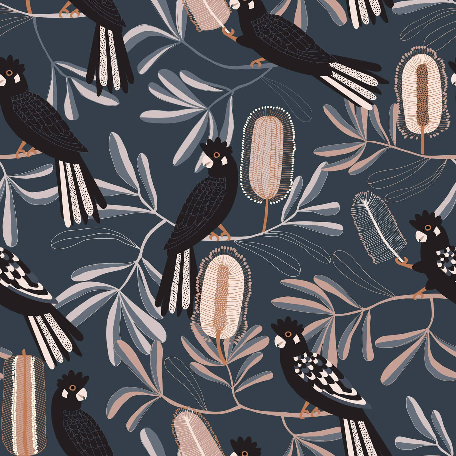 Cockatoo, feathers pattern, black cockatoos, HD Desktop Wallpaper