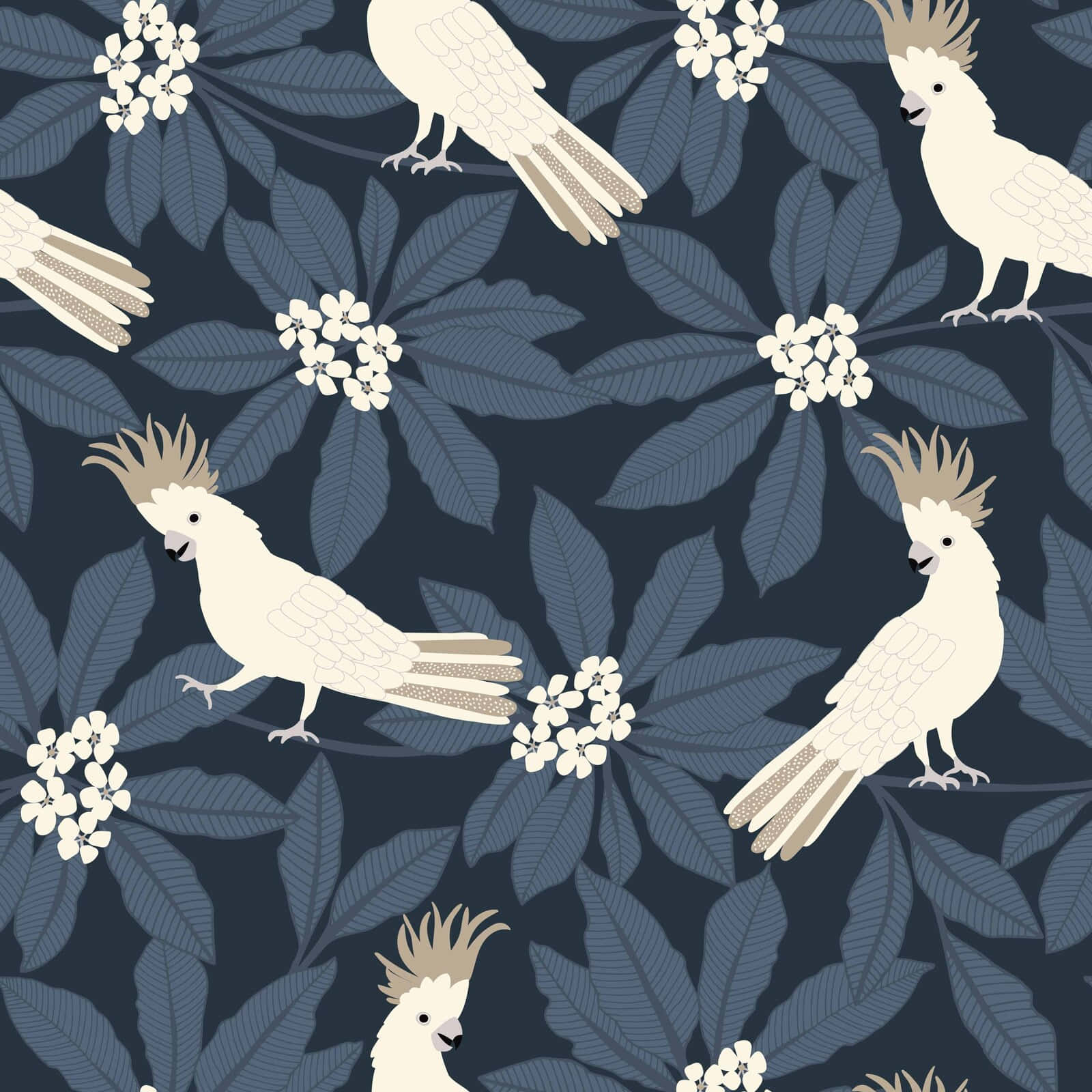 Cockatoo, white cockatoos, dark blue leaves, HD Desktop Wallpaper