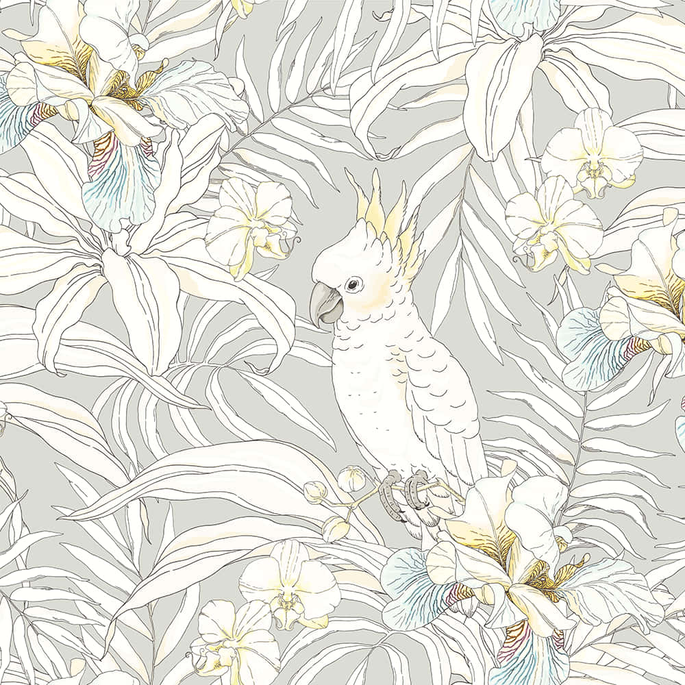 cockatoo, floral pattern, stylized orchids, SD Desktop Wallpaper
