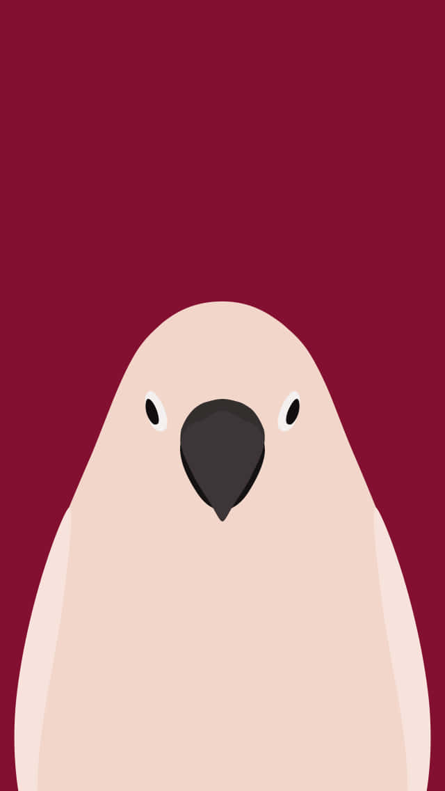 Cockatoo, peach-colored, black beak, SD Phone Wallpaper