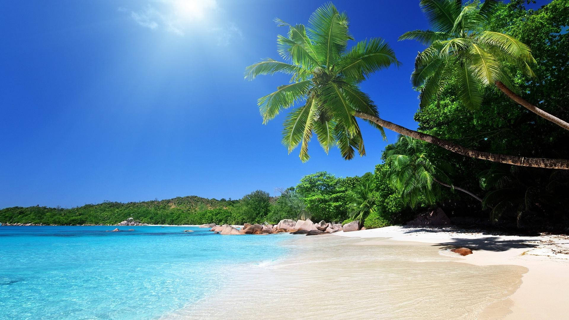tropical coconut paradise, pristine tropical beach, turquoise waters, Full HD Desktop Wallpaper
