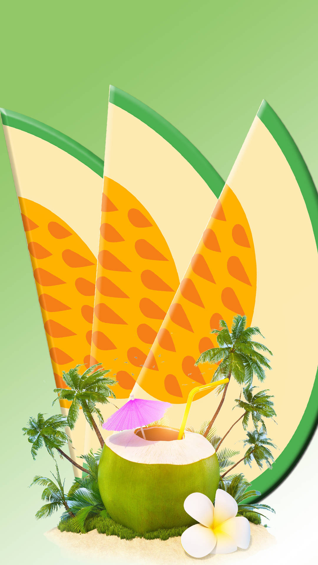 coconut, melon, tropical fruit slices, Full HD Phone Wallpaper