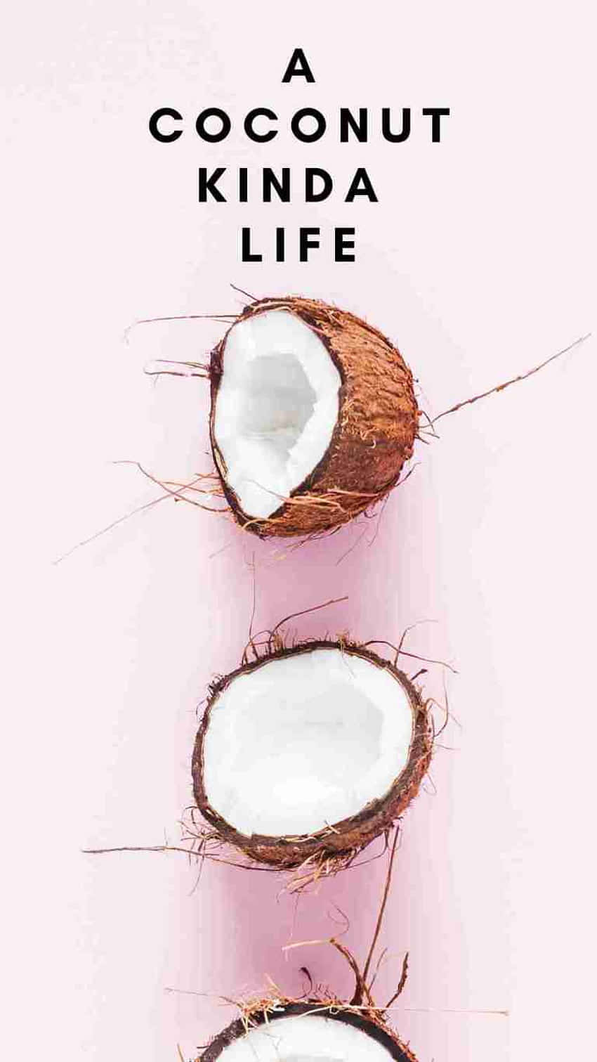 Coconut Kinda Life Aesthetic, halved coconuts, fibrous husks, HD Phone Wallpaper