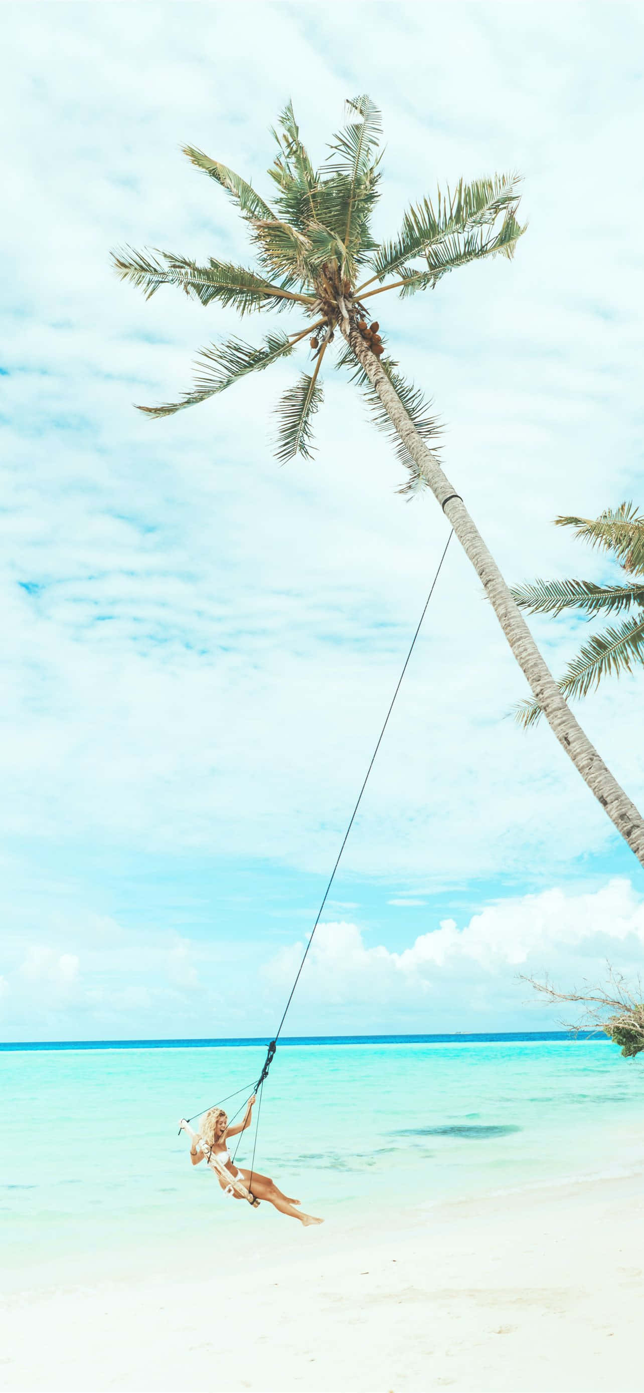 Coconut Girl, tropical beach, leaning palm tree, 2K Phone Wallpaper