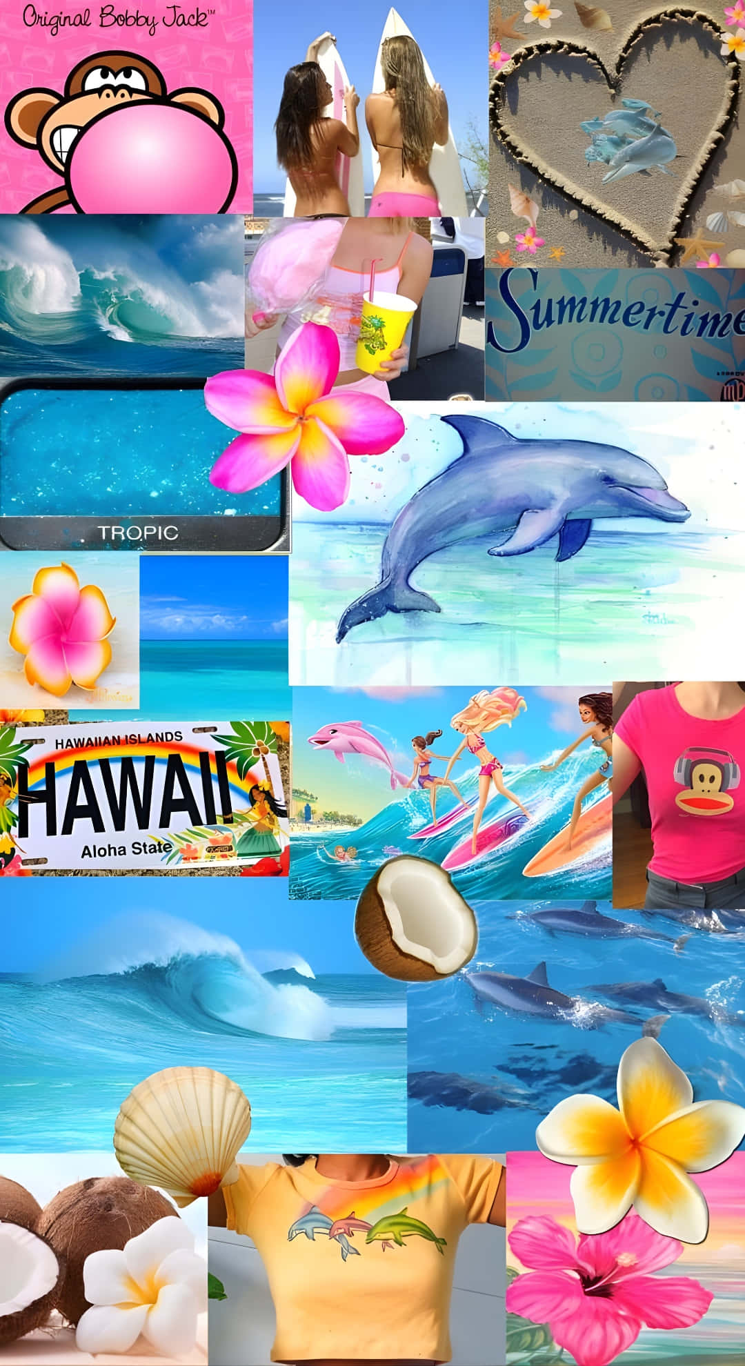 beach, tropical beach scenes, dolphins, Full HD Phone Wallpaper