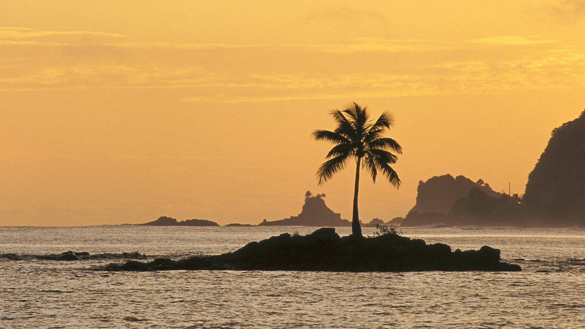 lone coconut tree, rocky islet, golden sunset, Full HD Desktop Wallpaper