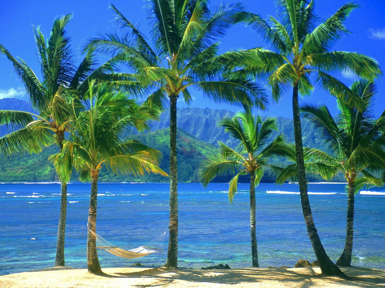 coconut trees, hammock, turquoise waters, HD Desktop Wallpaper