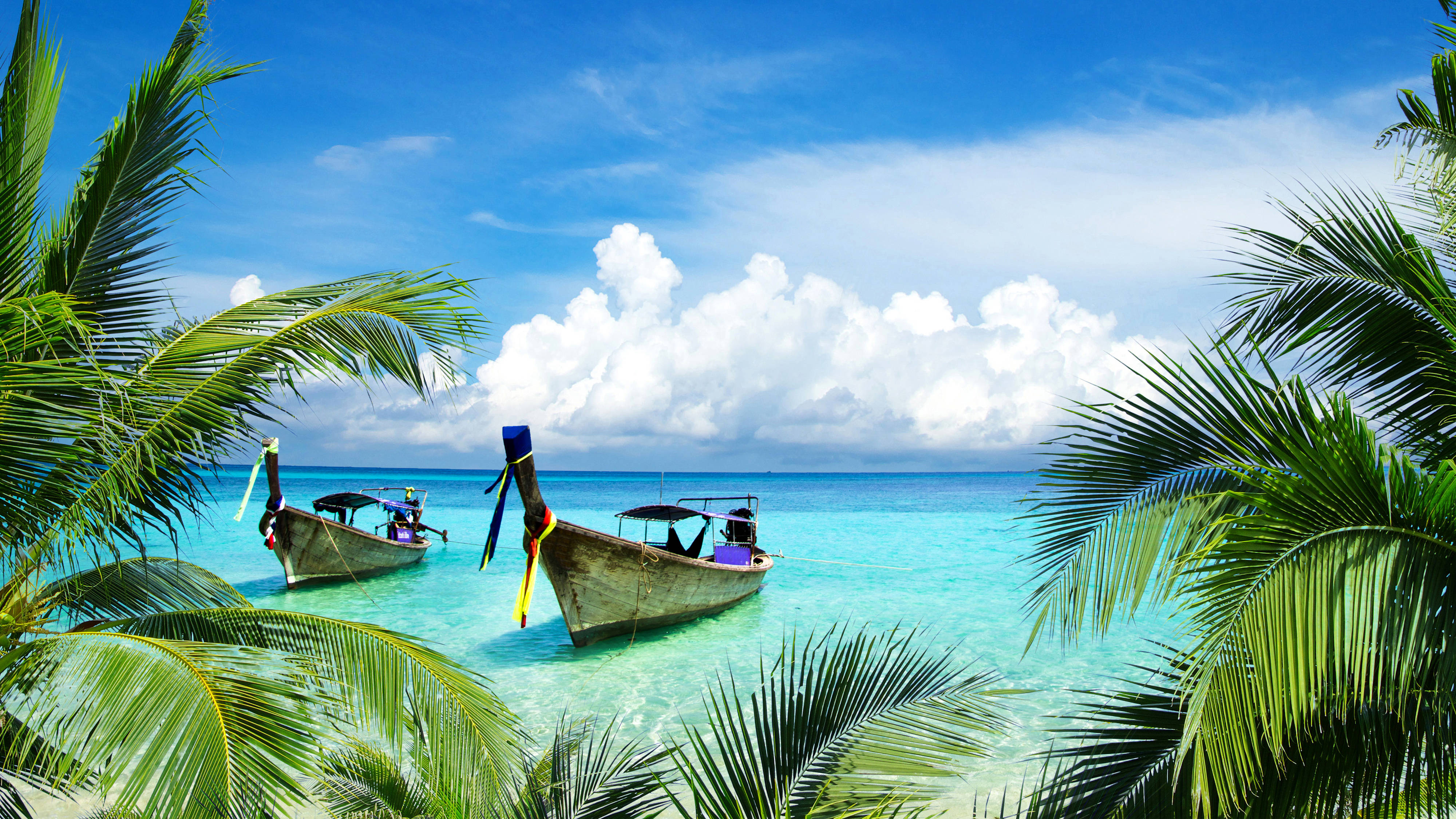 coconut tree, longtail boats, turquoise water, 4K Desktop Wallpaper