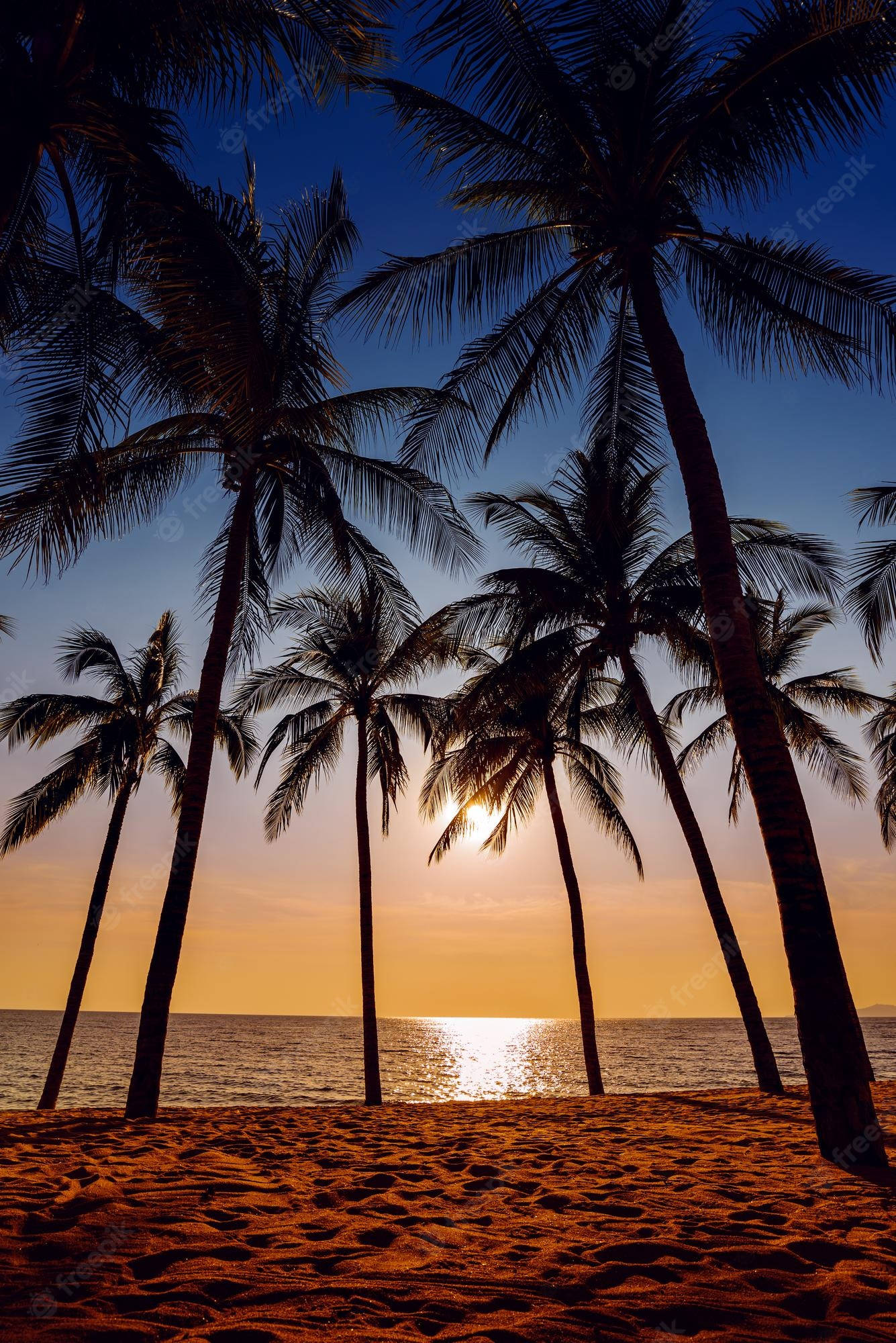 coconut trees, golden sunset, calm ocean waters, Full HD Phone Wallpaper