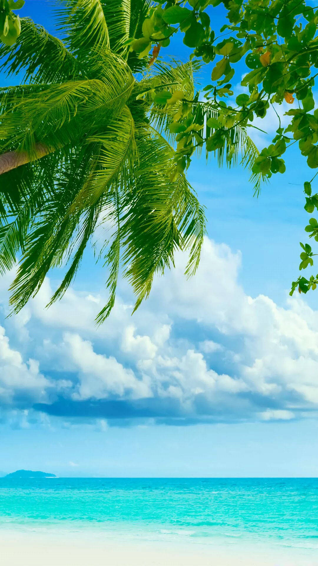coconut tree, turquoise ocean, white sand, Full HD Phone Wallpaper