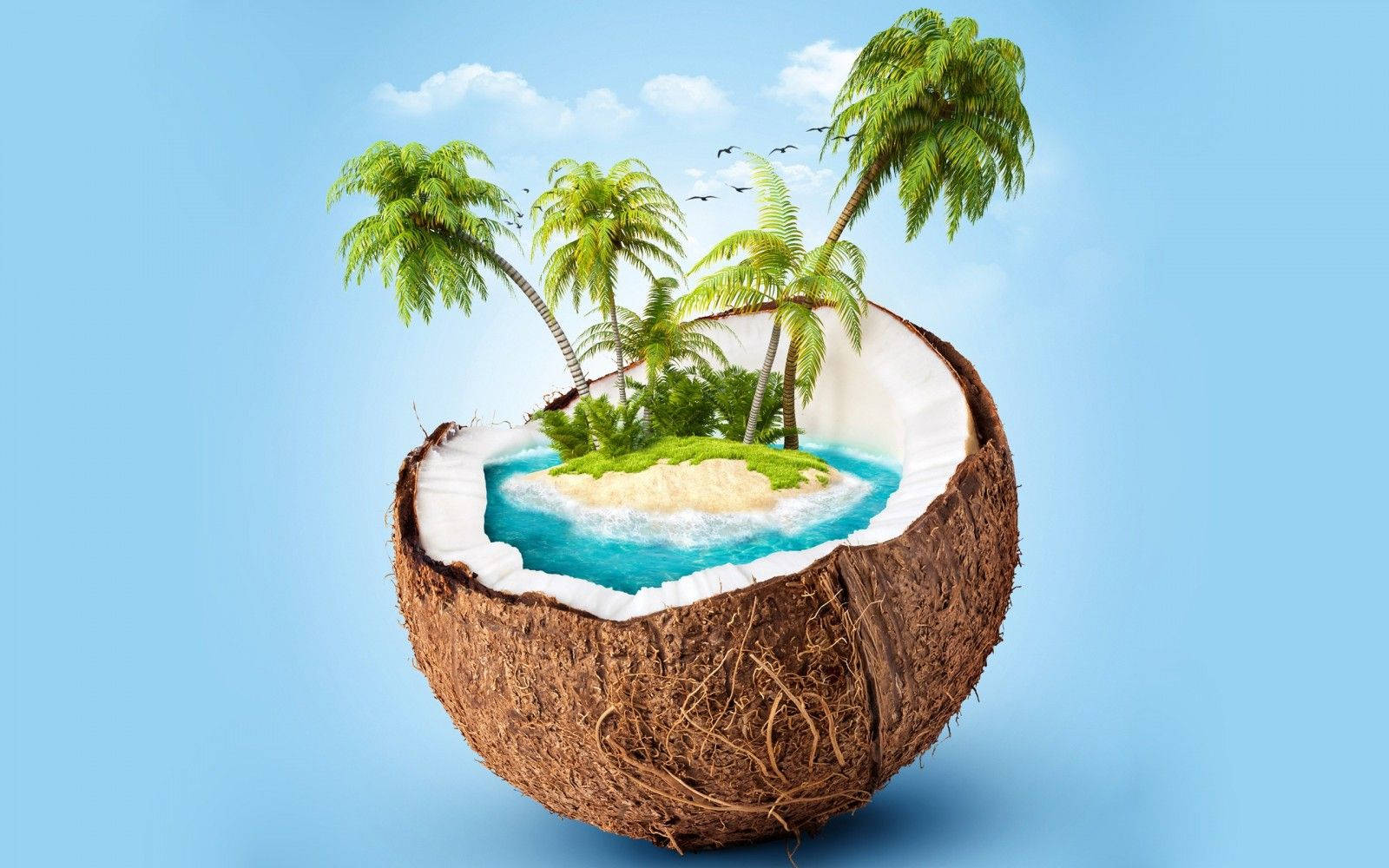 coconut shell, miniature tropical island, palm trees, HD Desktop Wallpaper