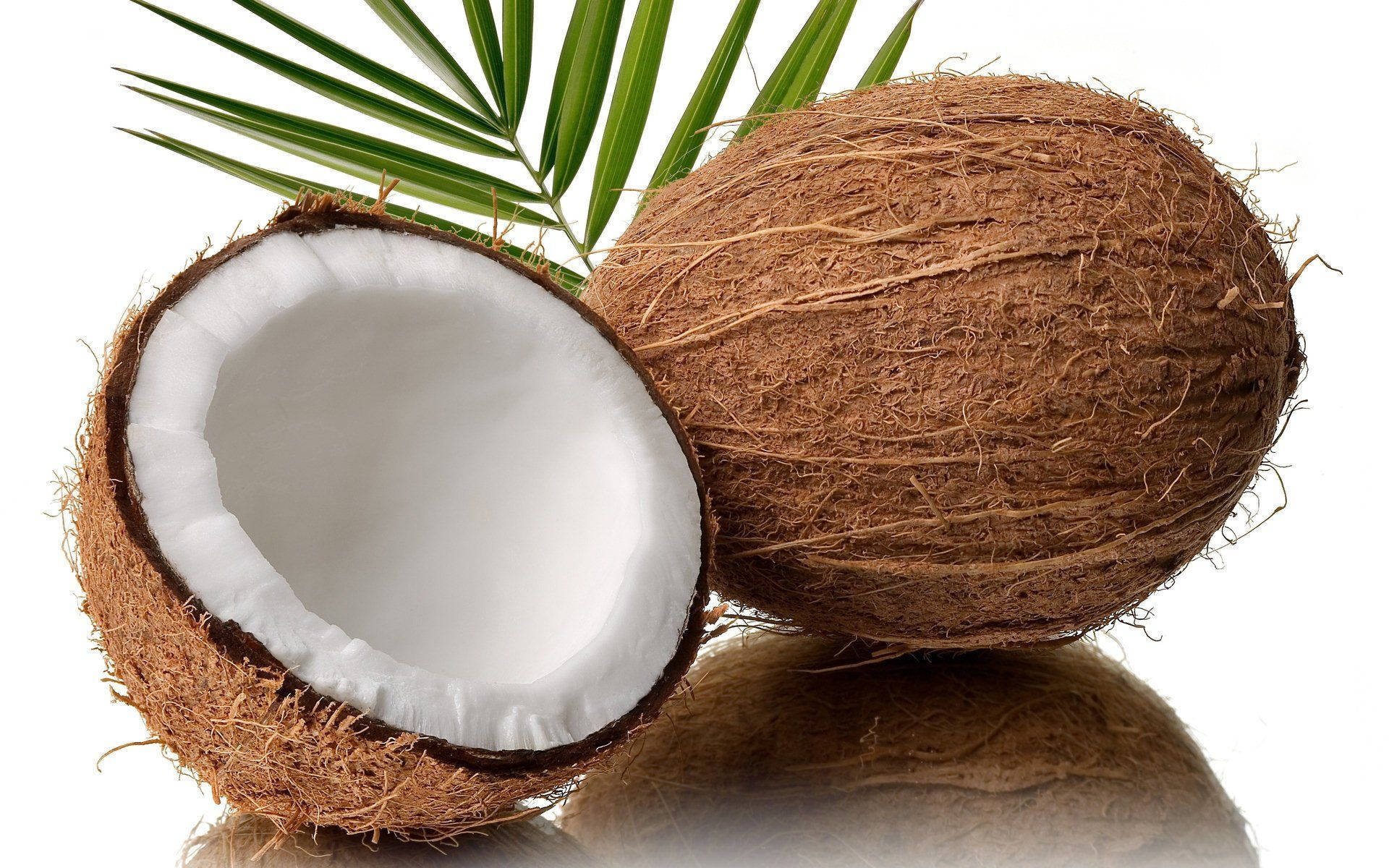 semi husked coconut fruit, white flesh, fibrous brown husk, Full HD Desktop Wallpaper