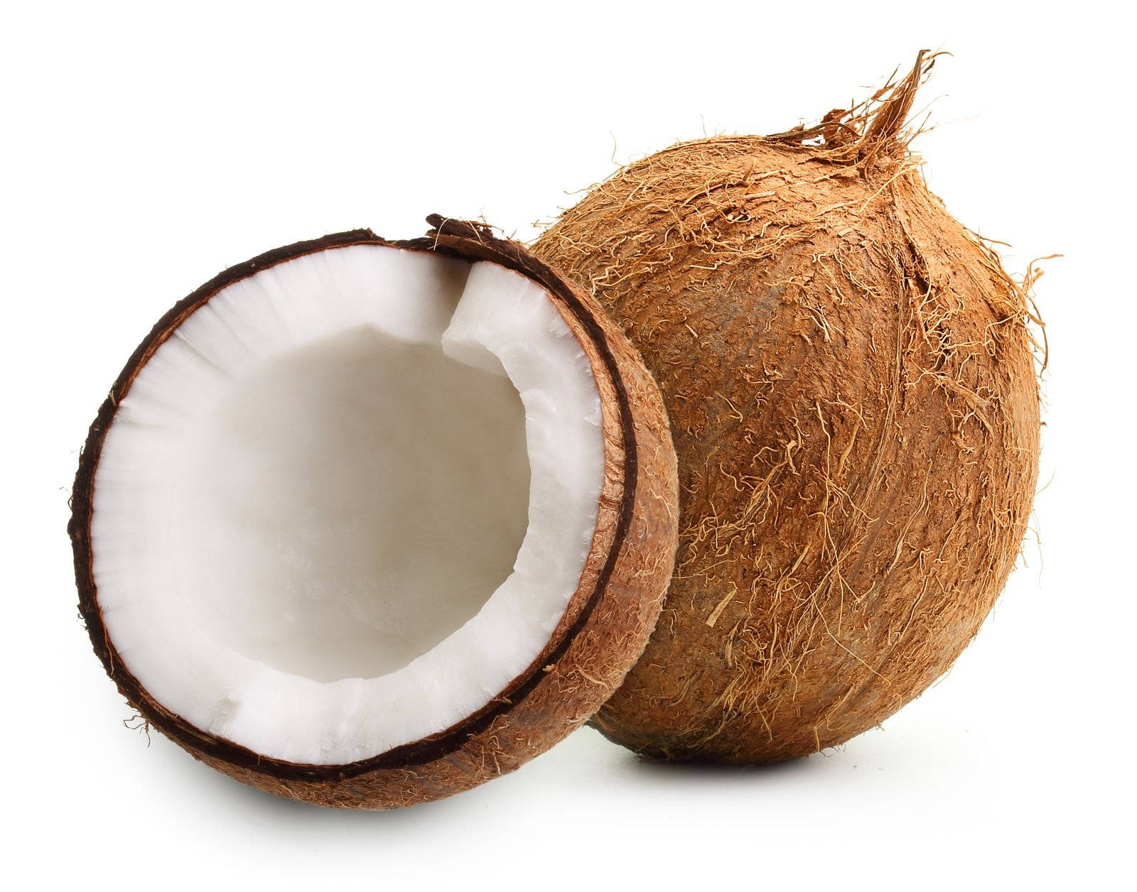 whole semi husked coconut, creamy white flesh, stark white background, HD Desktop Wallpaper