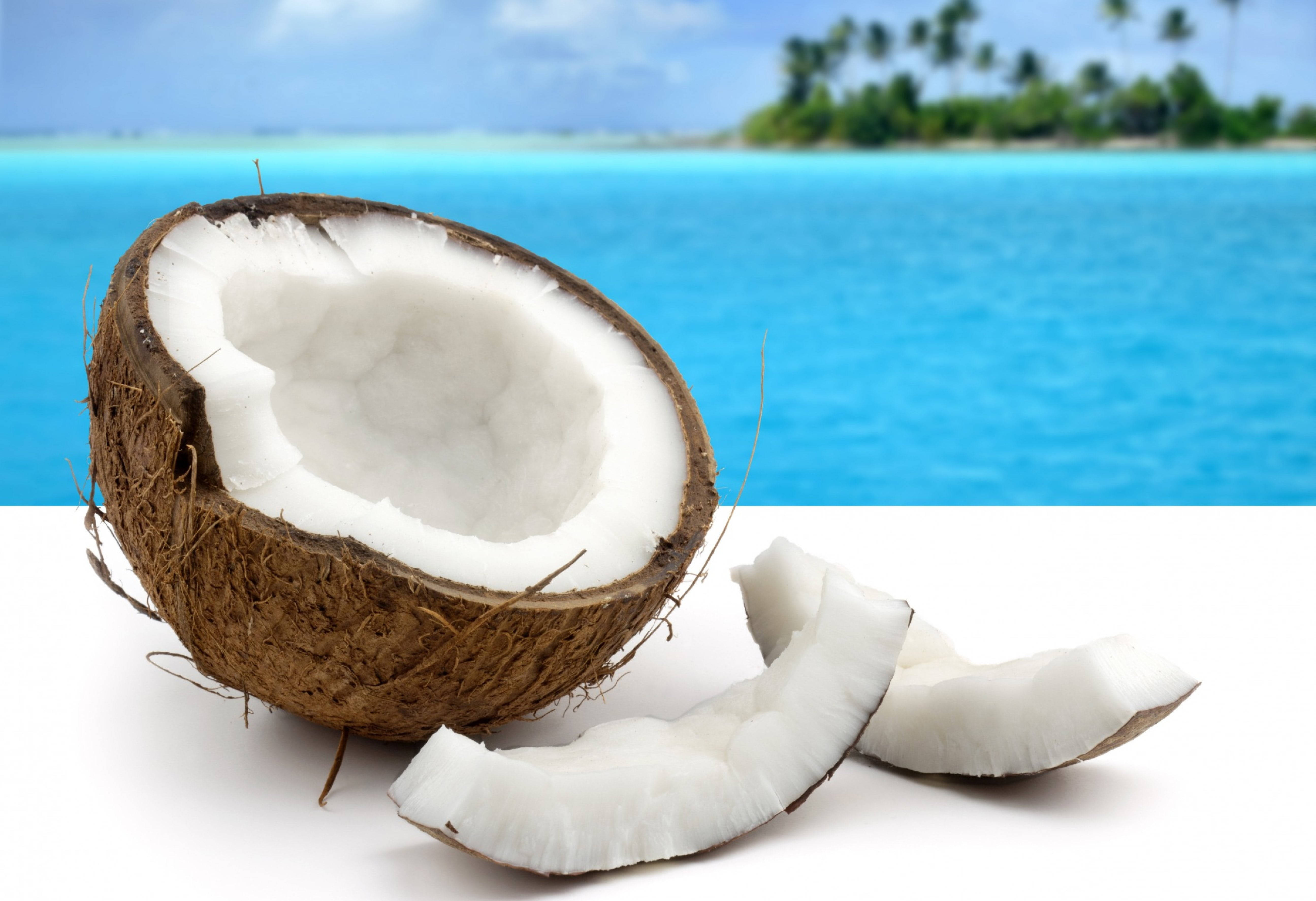 fresh coconut meat slices, white flesh, brown husk, 5K Desktop Wallpaper