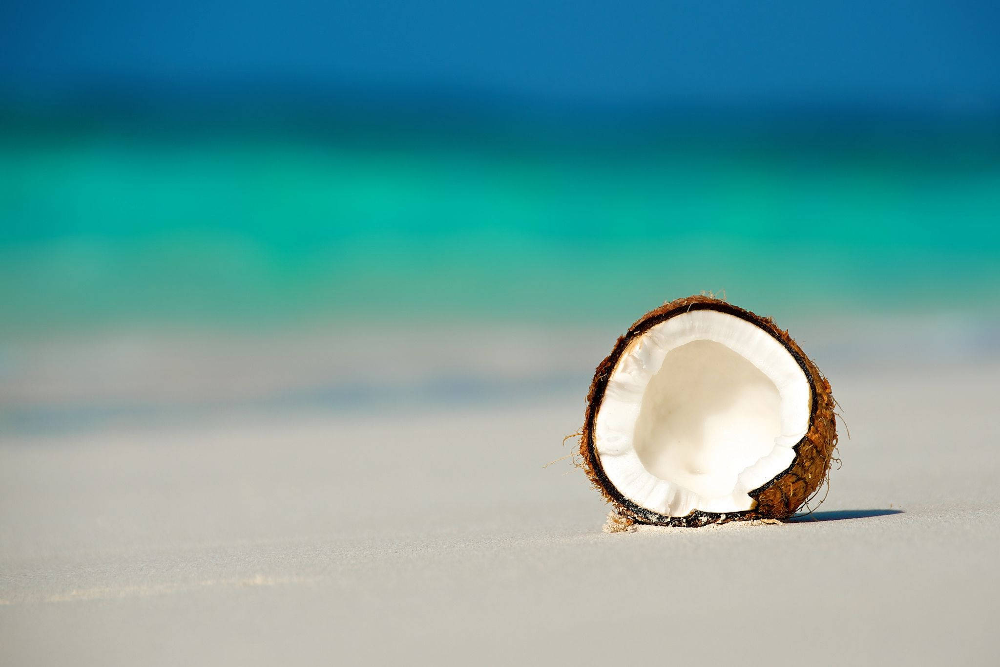 coconut fruit, white sand, turquoise ocean, Full HD Desktop Wallpaper