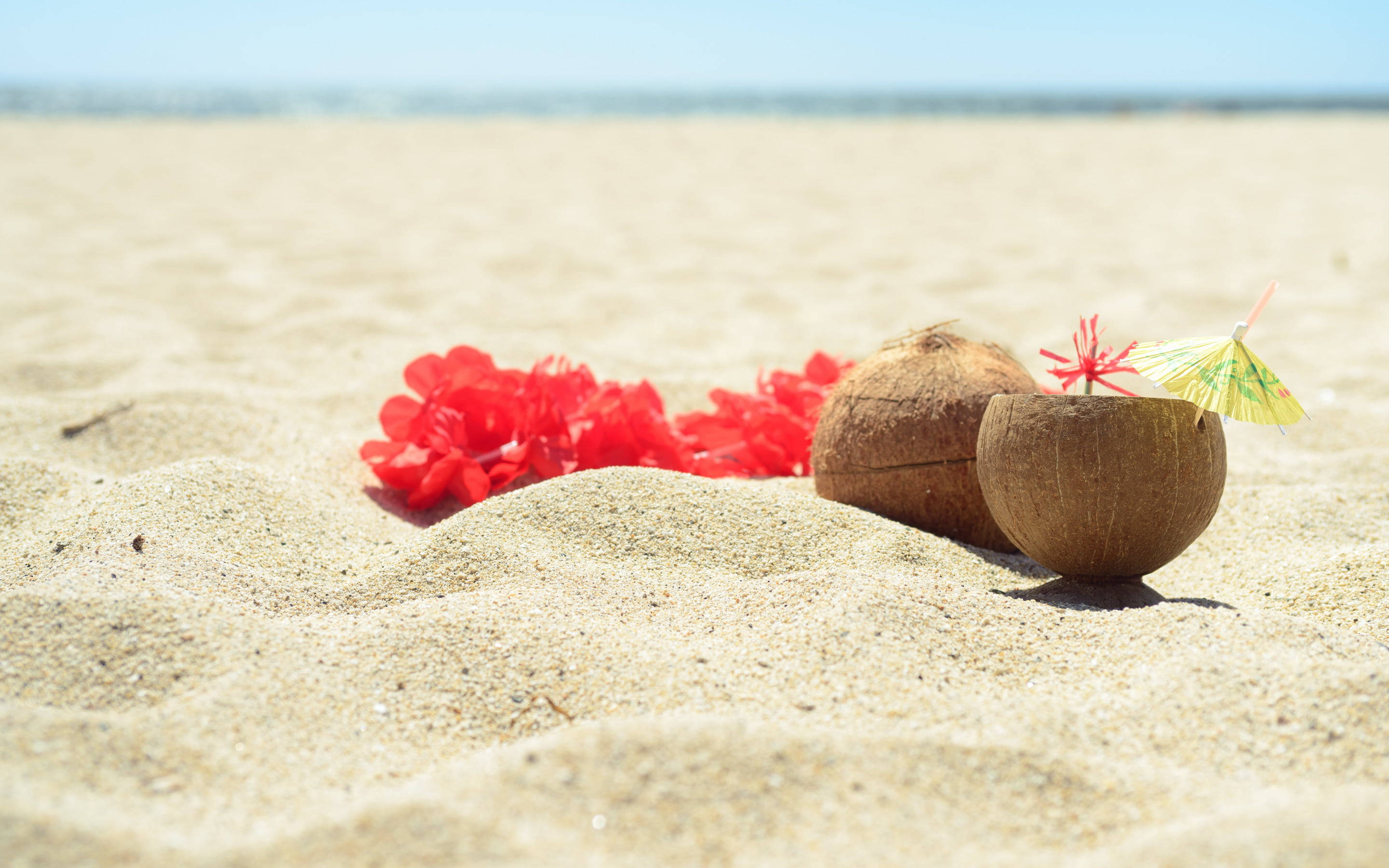 summer coconut shake, coconut, cocktail umbrella, 2K Desktop Wallpaper