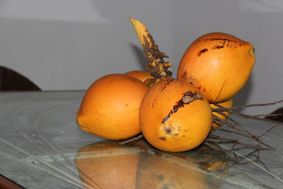 Ayurveda, coconuts, ripe orange coconuts, SD Desktop Wallpaper